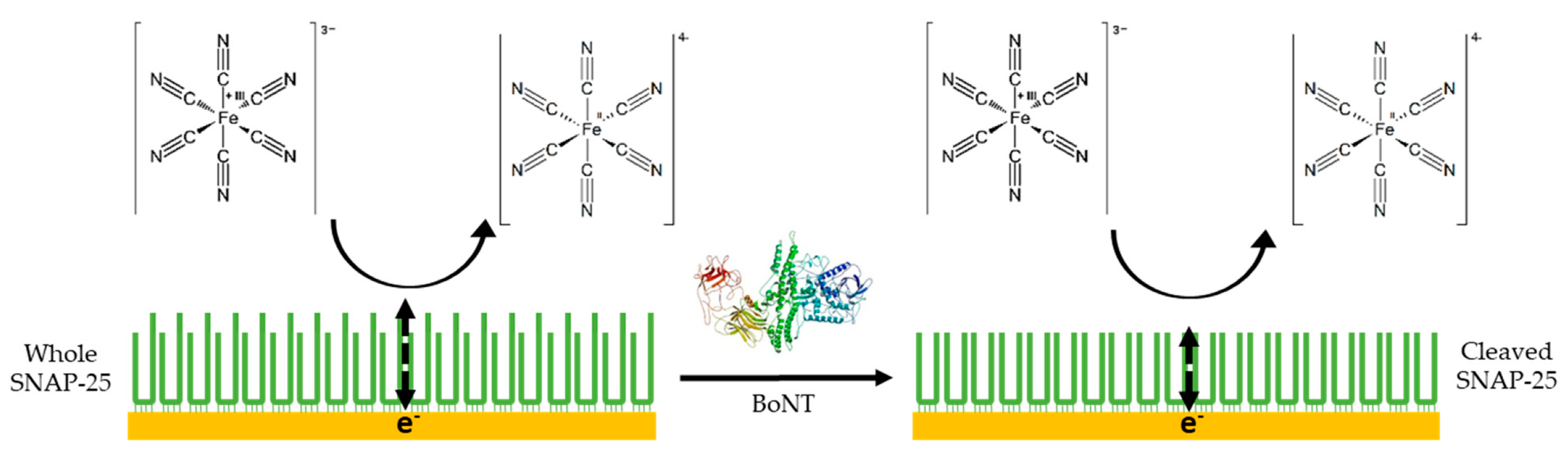 Toxins 11 00418 g006