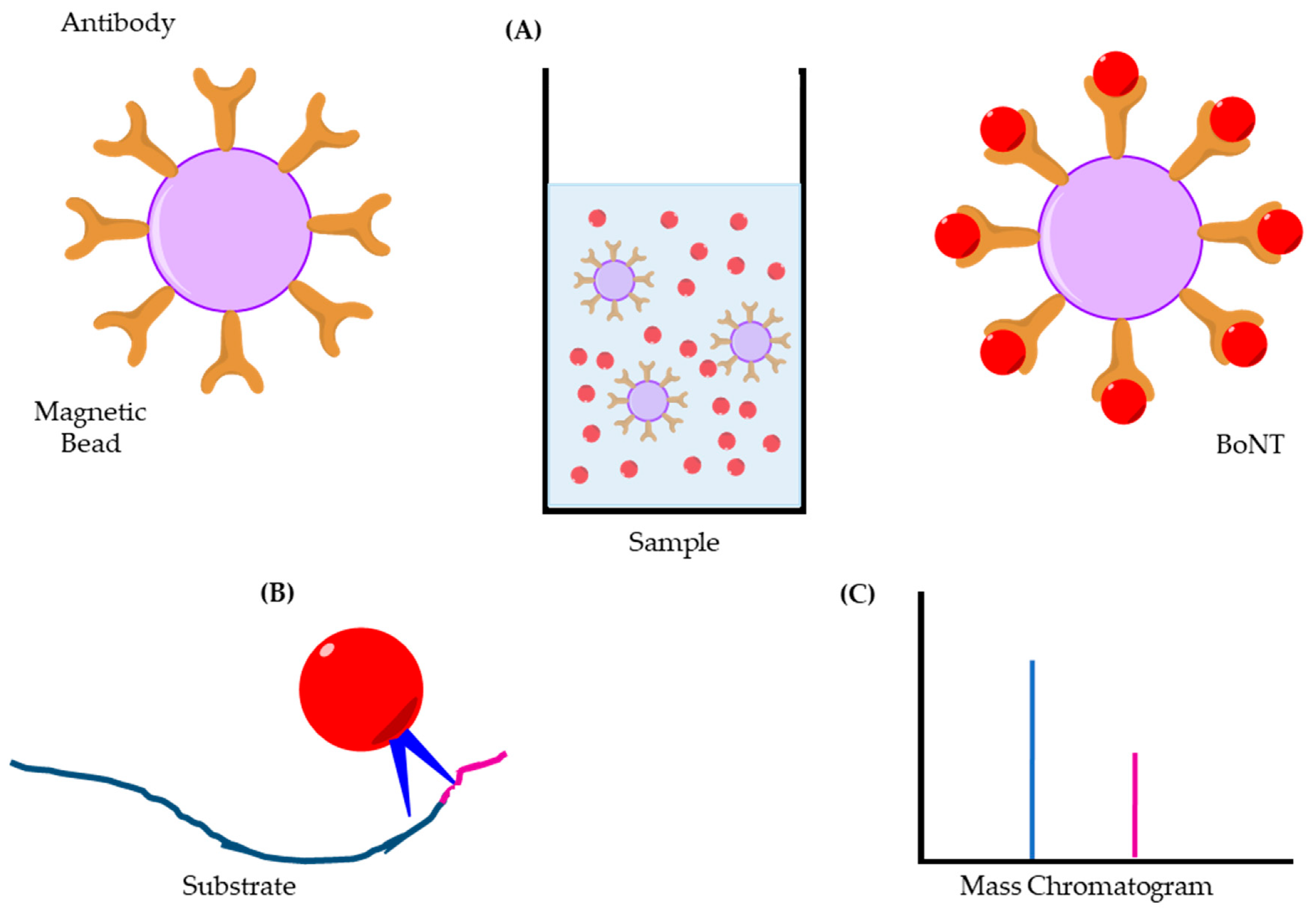 Toxins 11 00418 g007