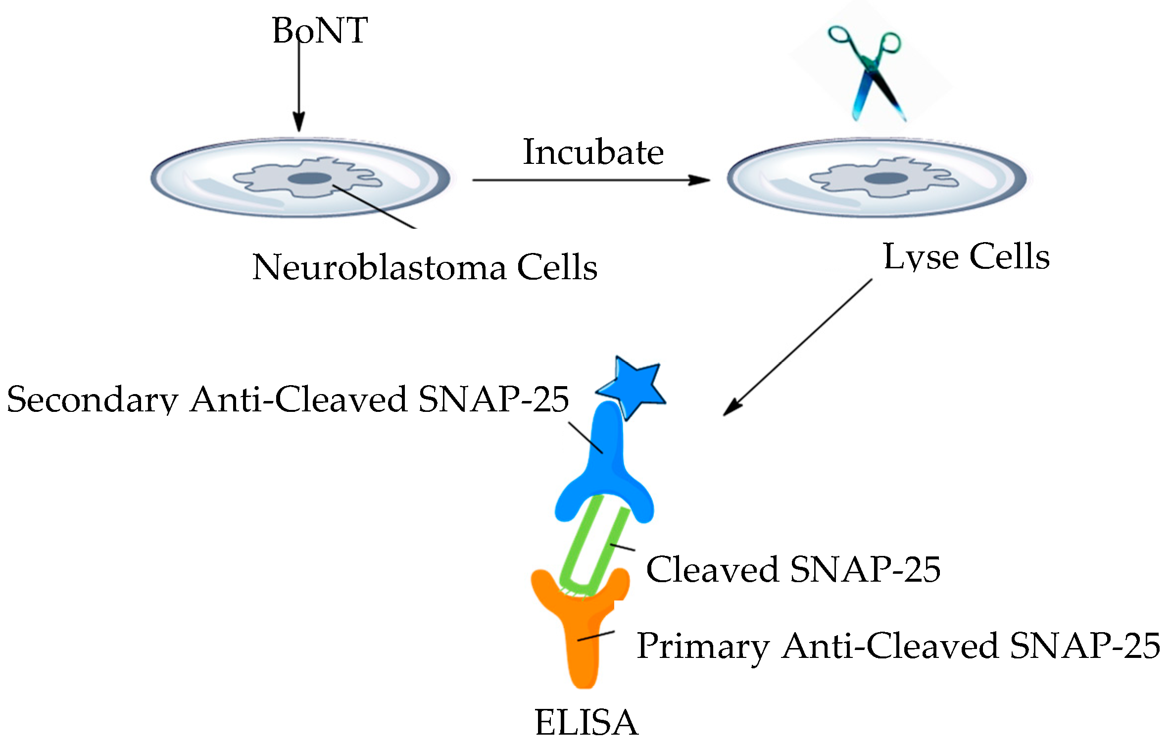 Toxins 11 00418 g009