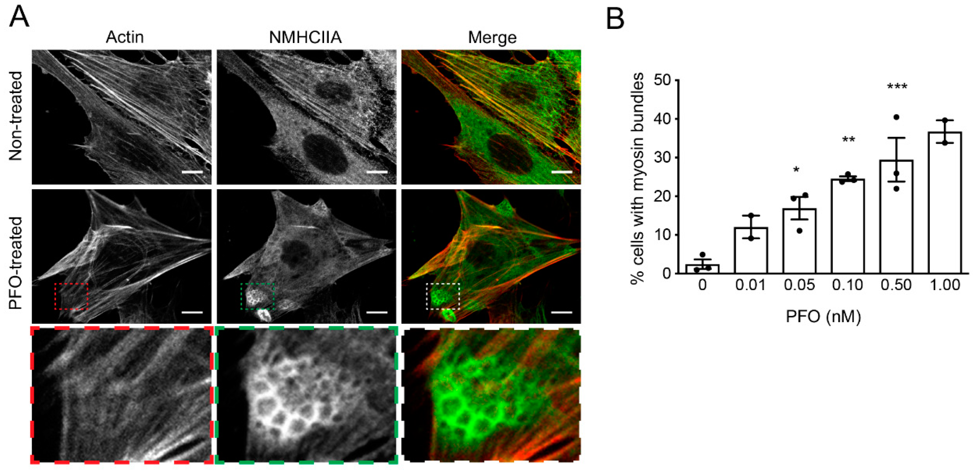 Toxins 11 00419 g002 Toxins 11 00419 g002