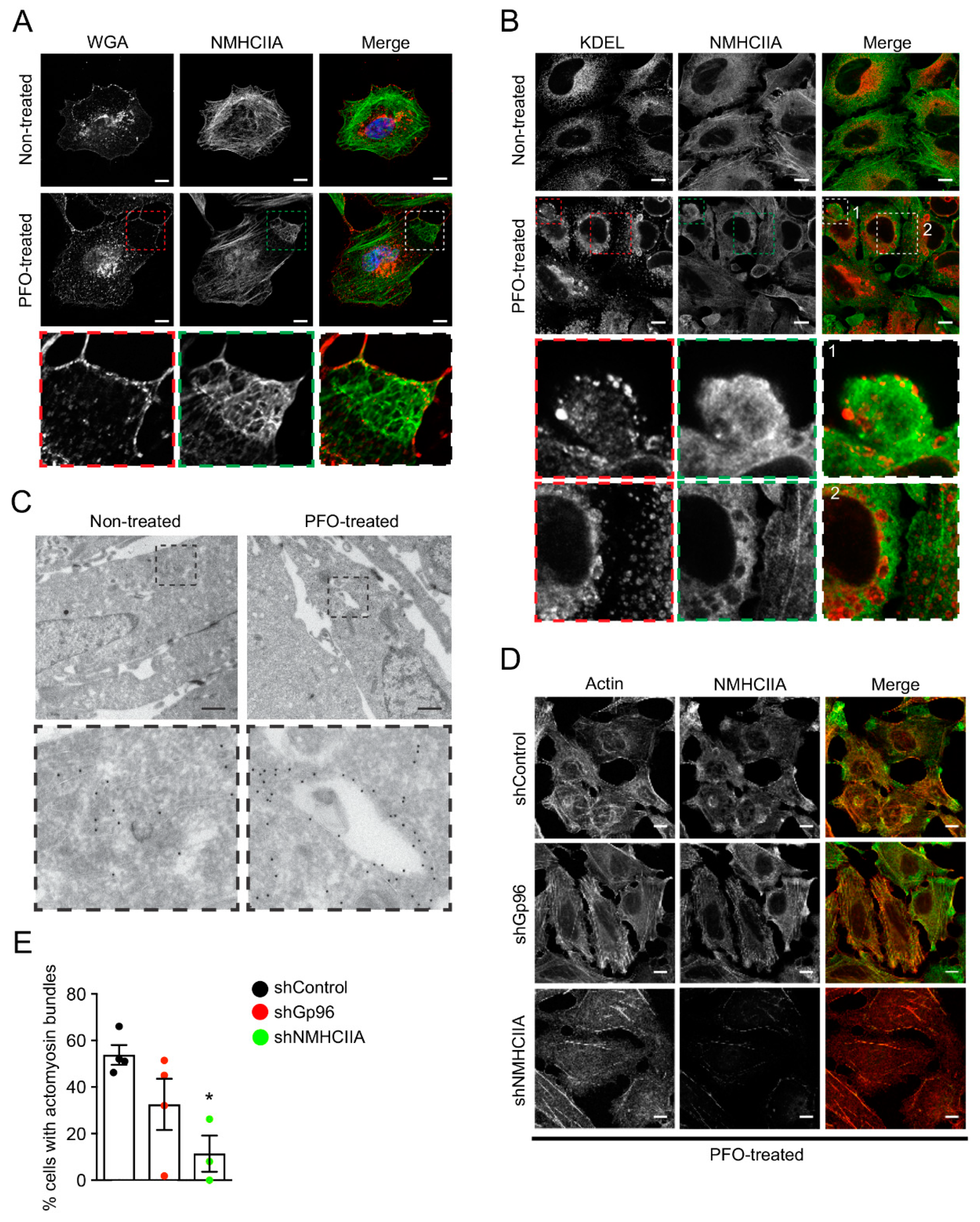 Toxins 11 00419 g006 Toxins 11 00419 g006