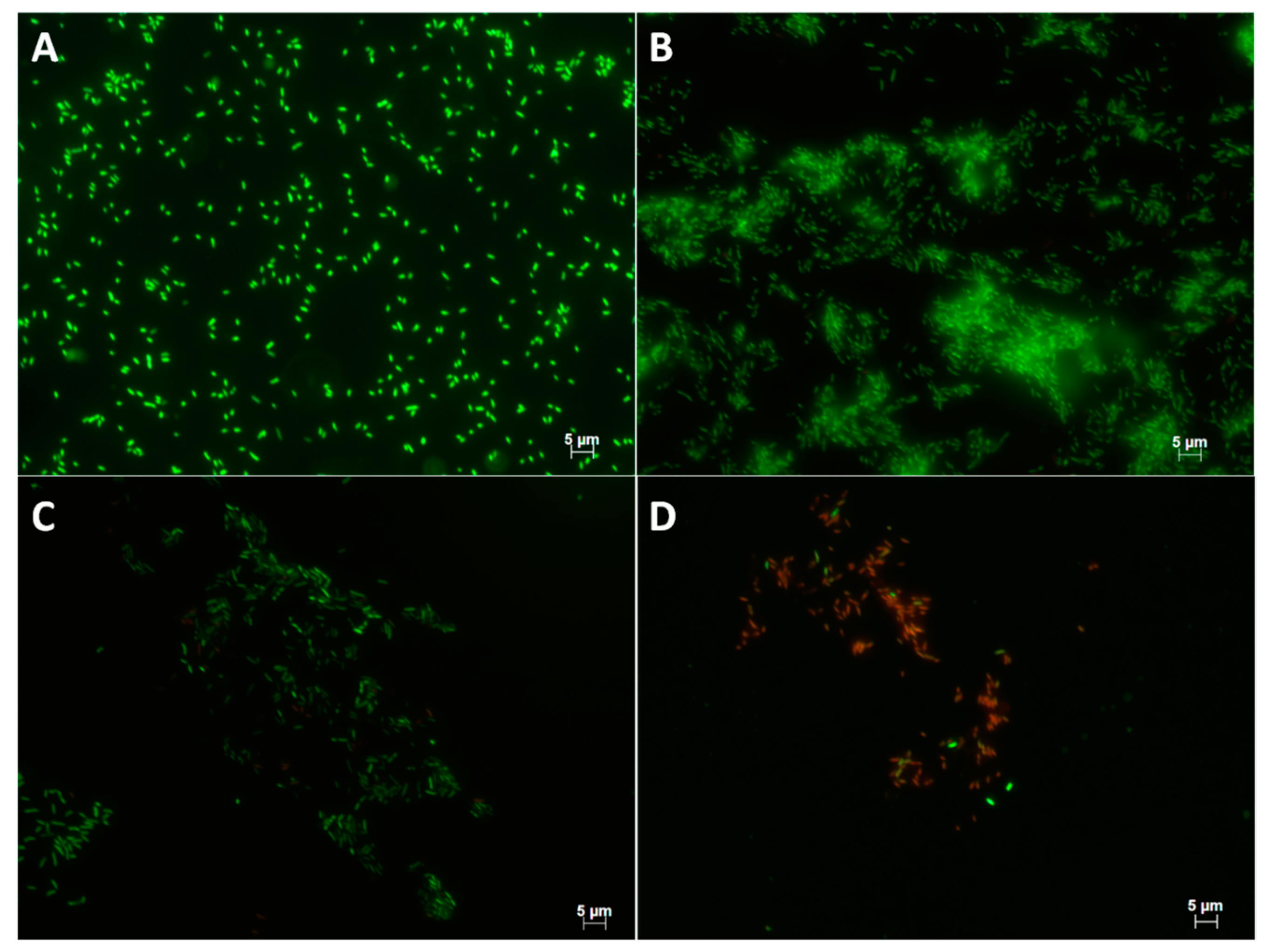 Toxins 11 00420 g005