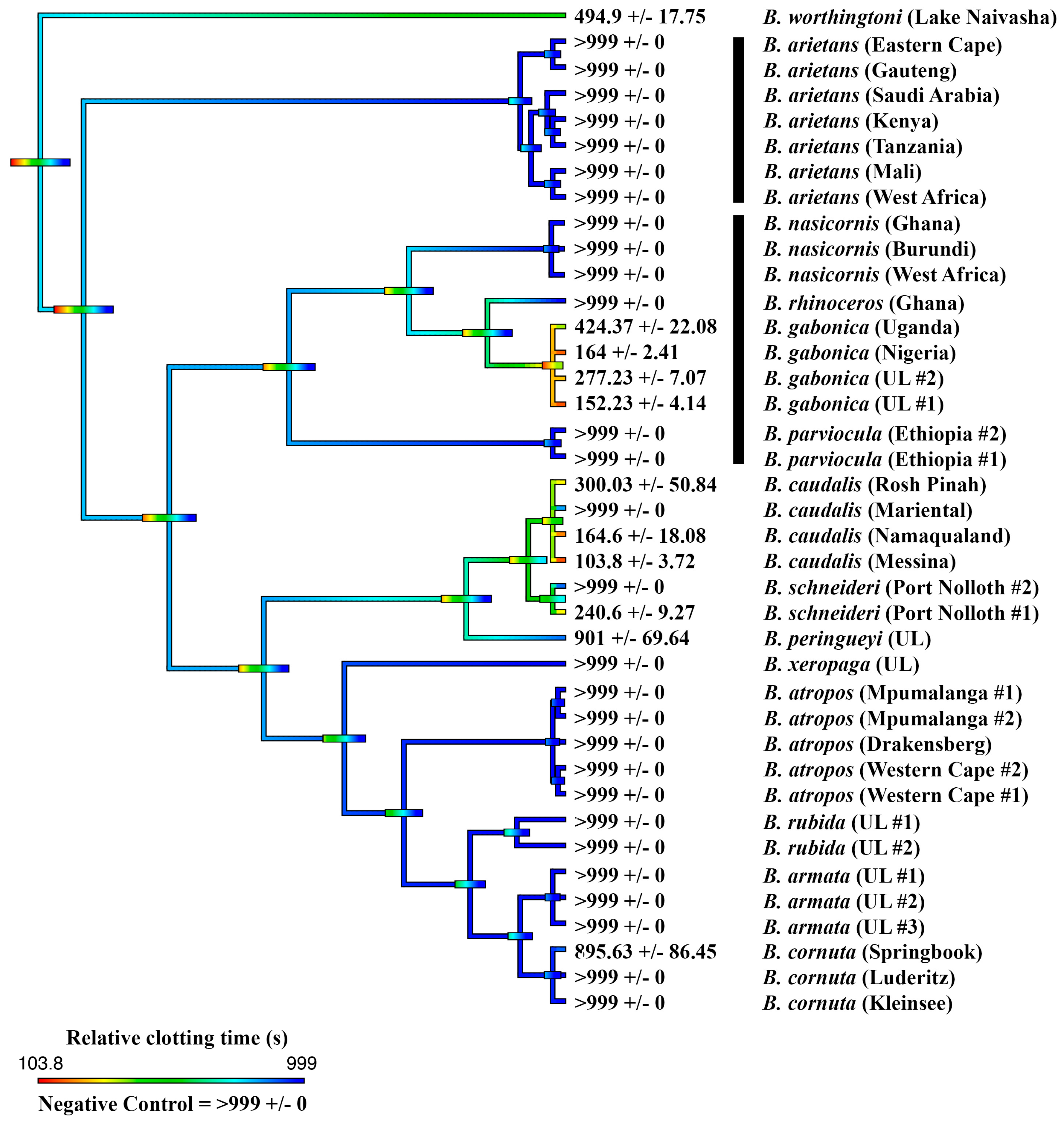 Toxins 11 00422 g004