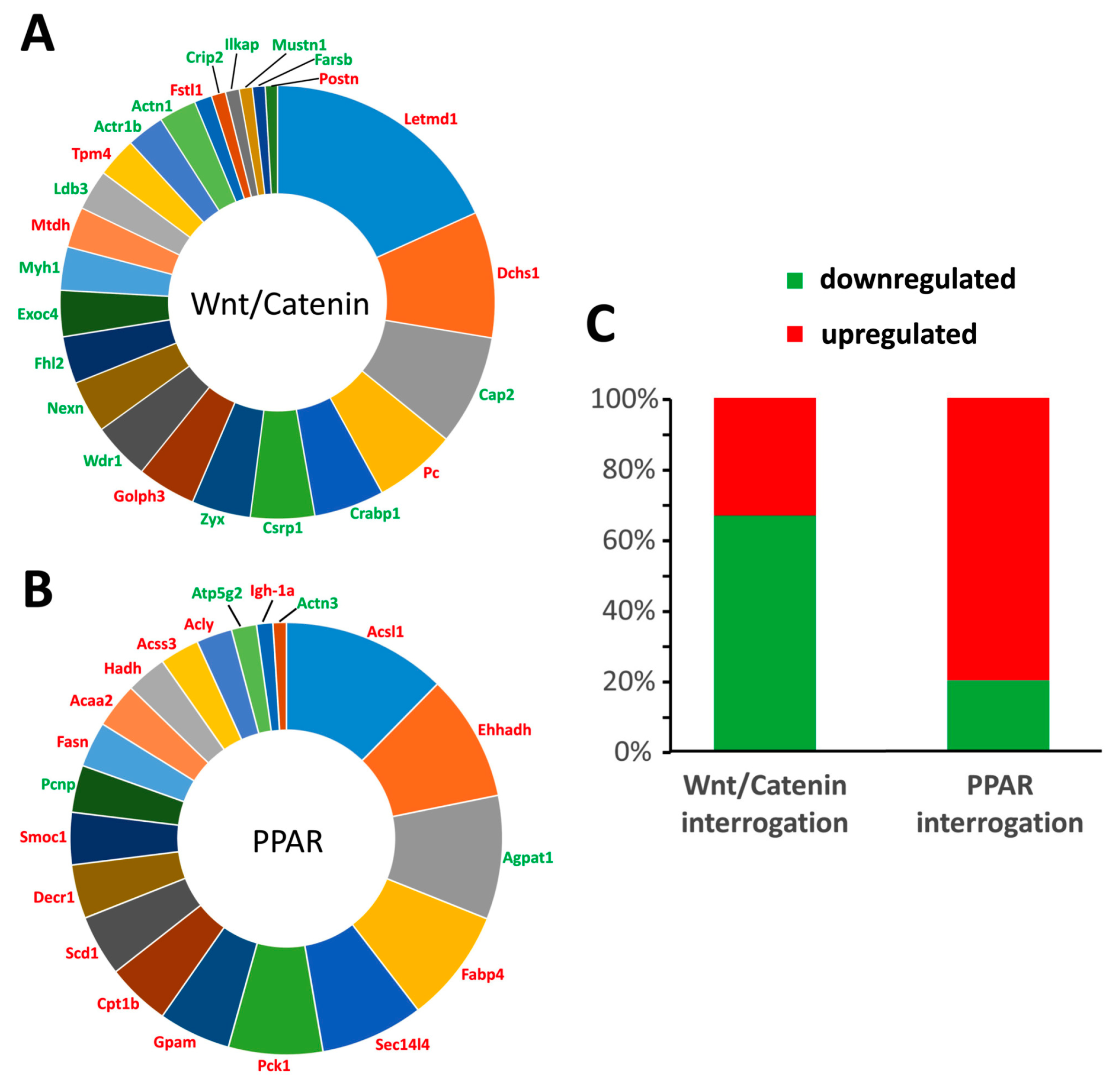 Toxins 11 00428 g001