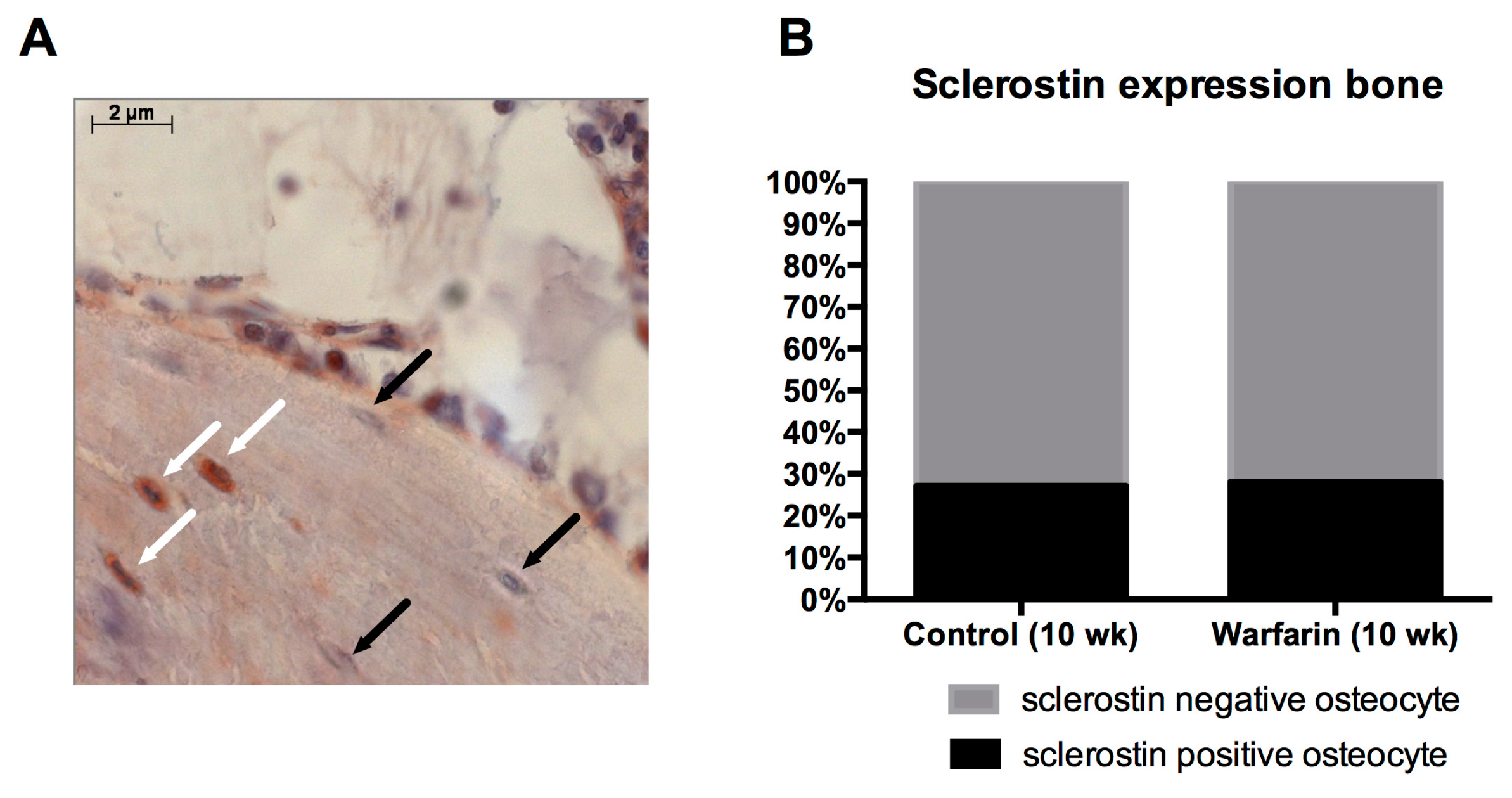 Toxins 11 00428 g008