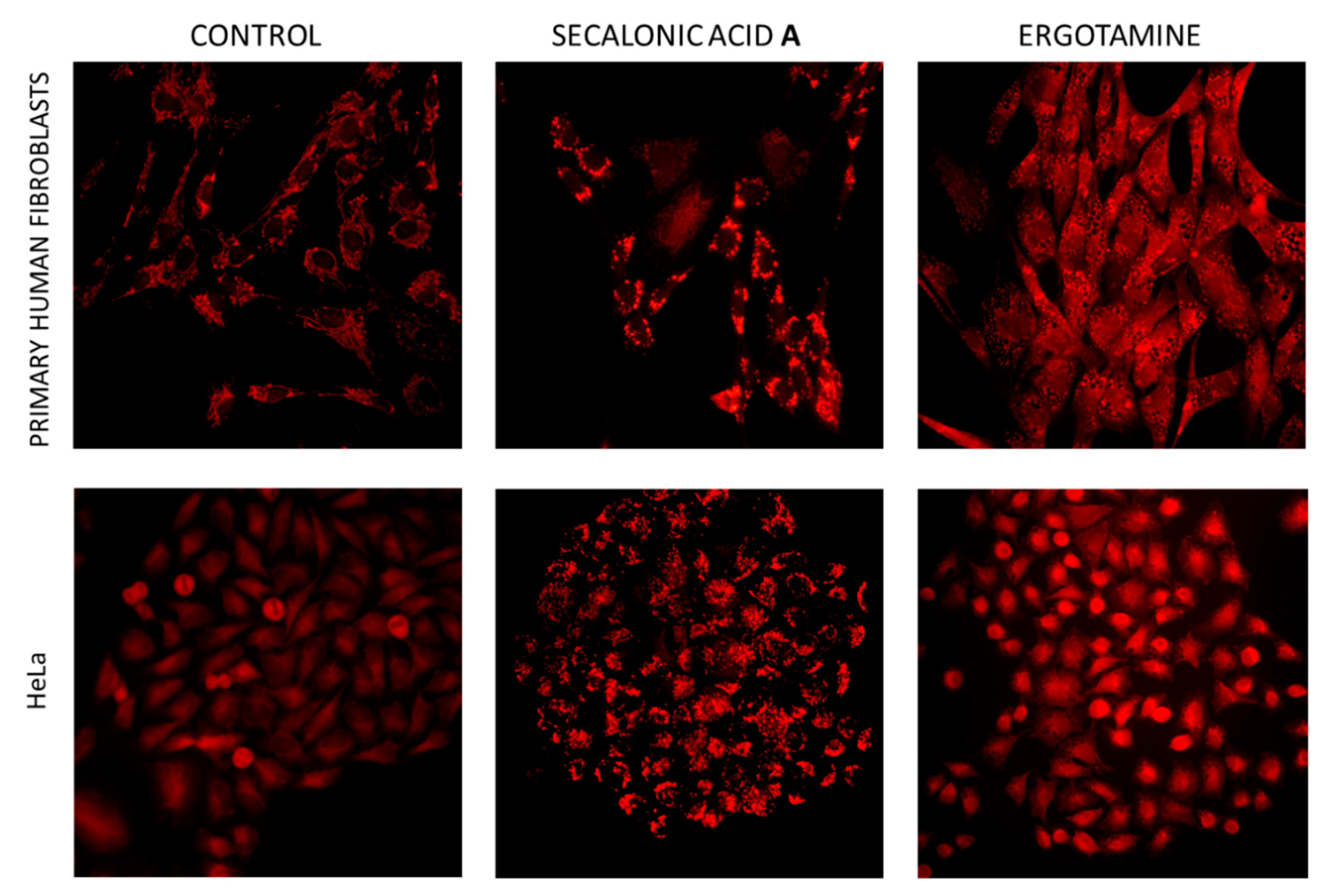 Toxins 11 00439 g006