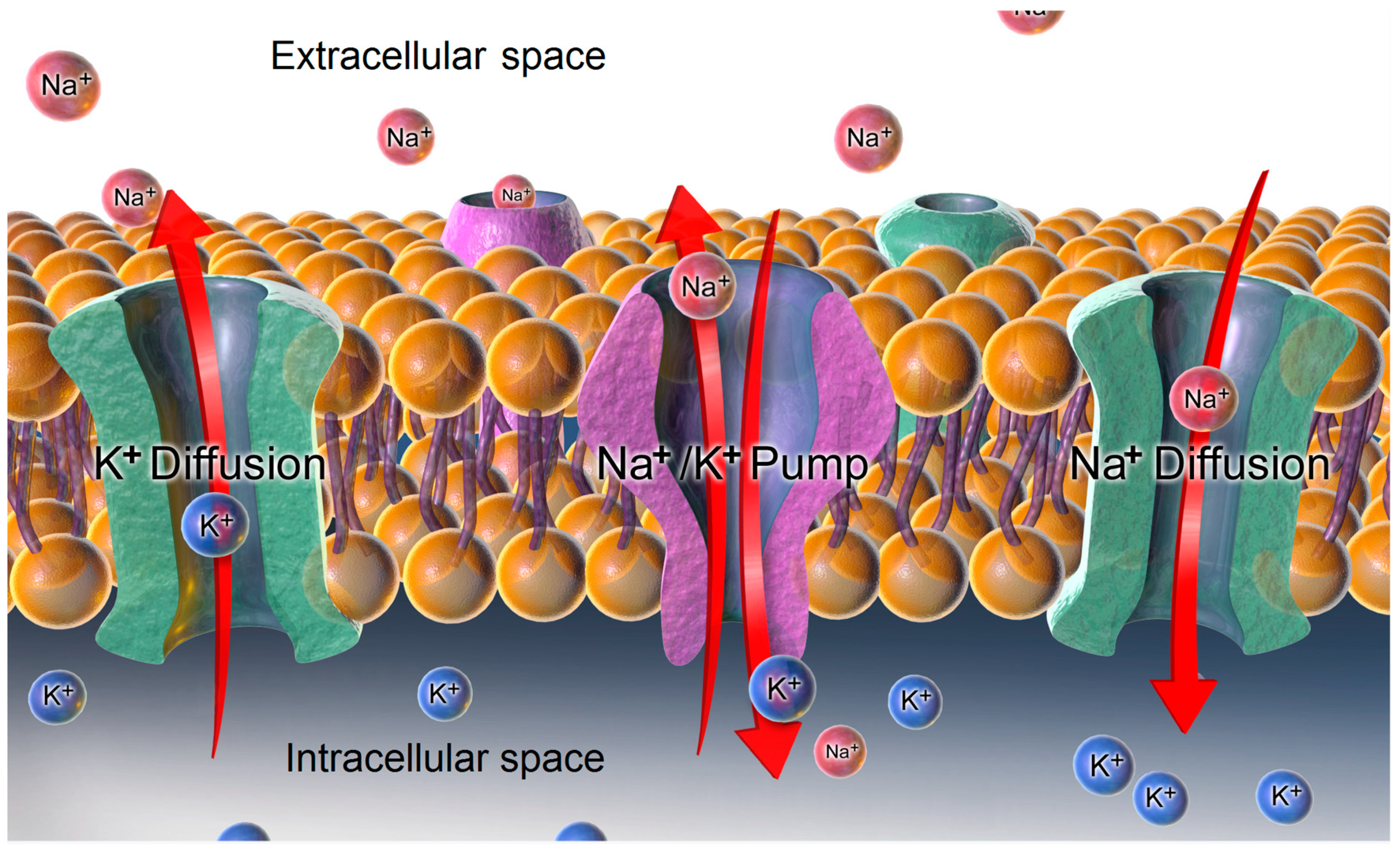Toxins 11 00442 g002