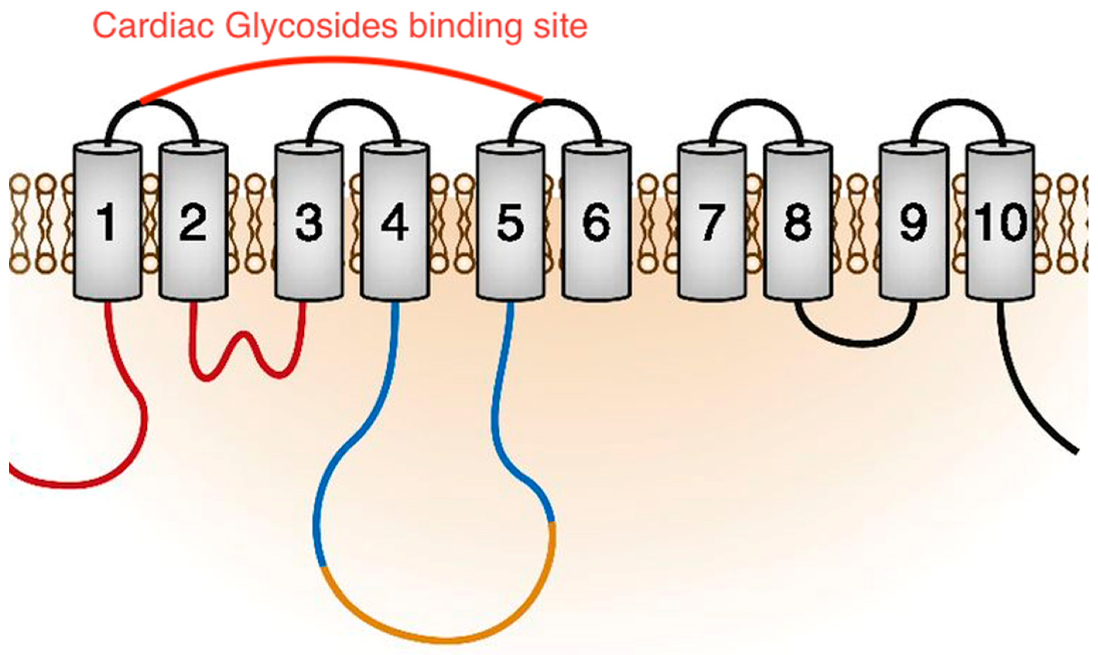 Toxins 11 00442 g003