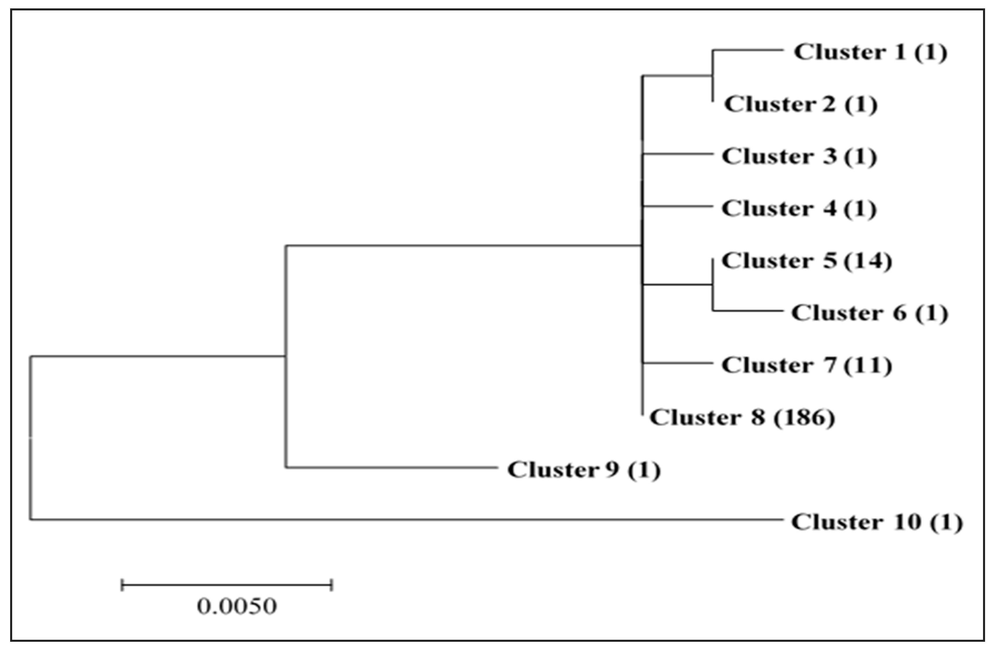 Wg To Gs Conversion Chart