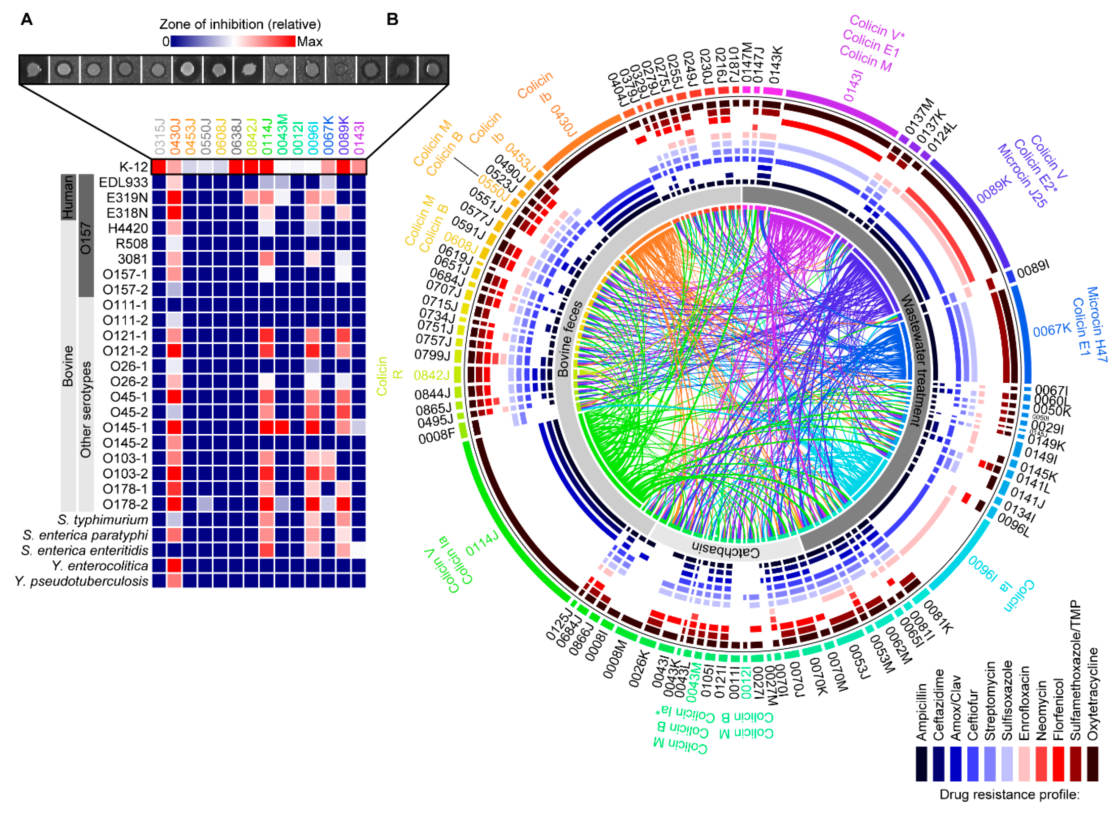 Toxins 11 00475 g001