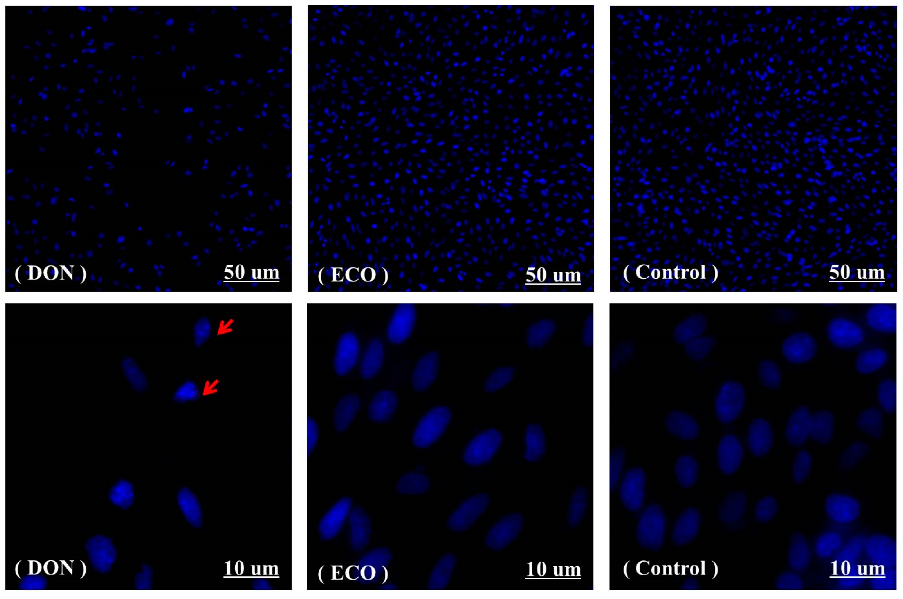 Toxins 11 00478 g009