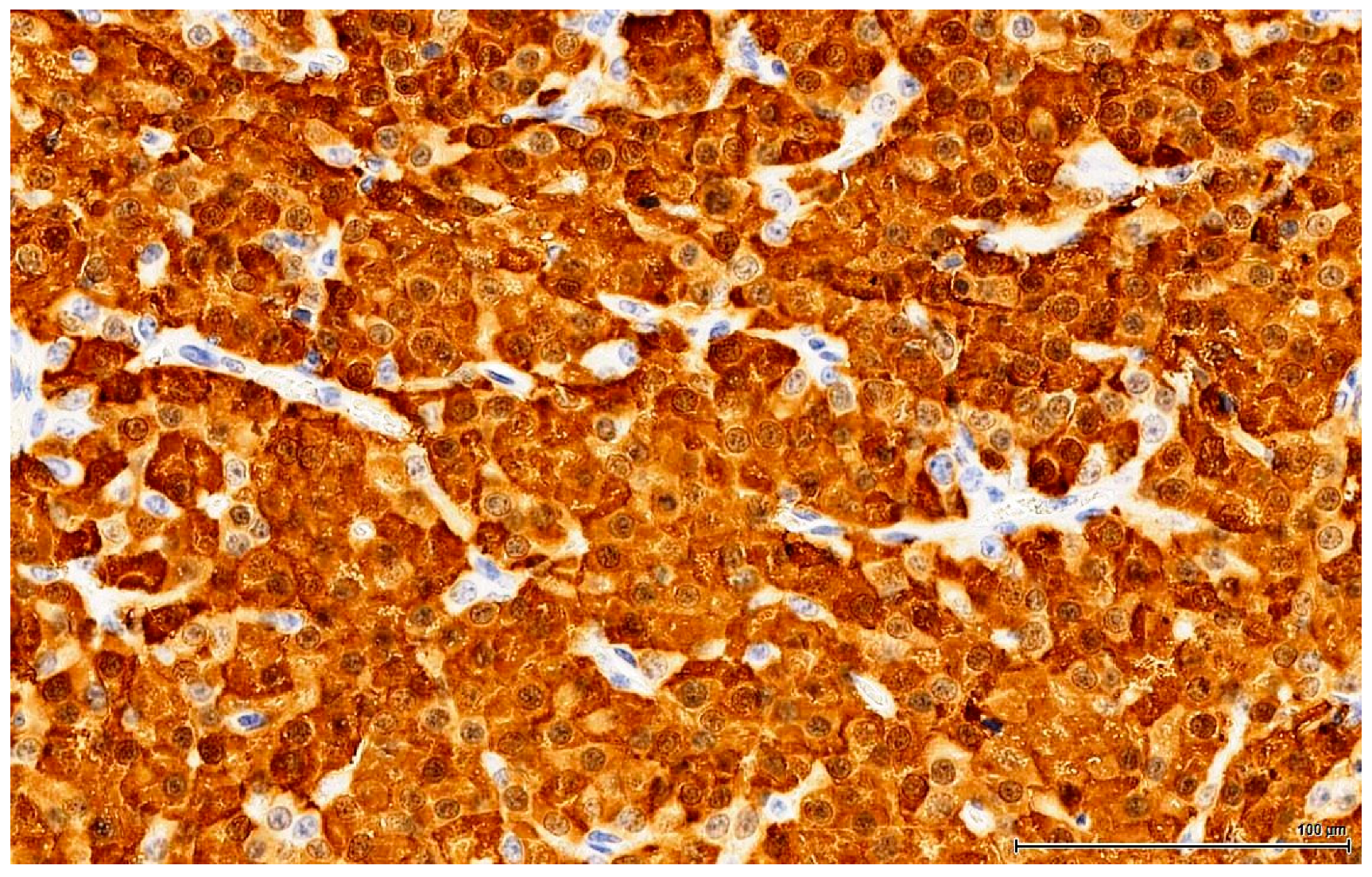 Toxins 11 00480 g007