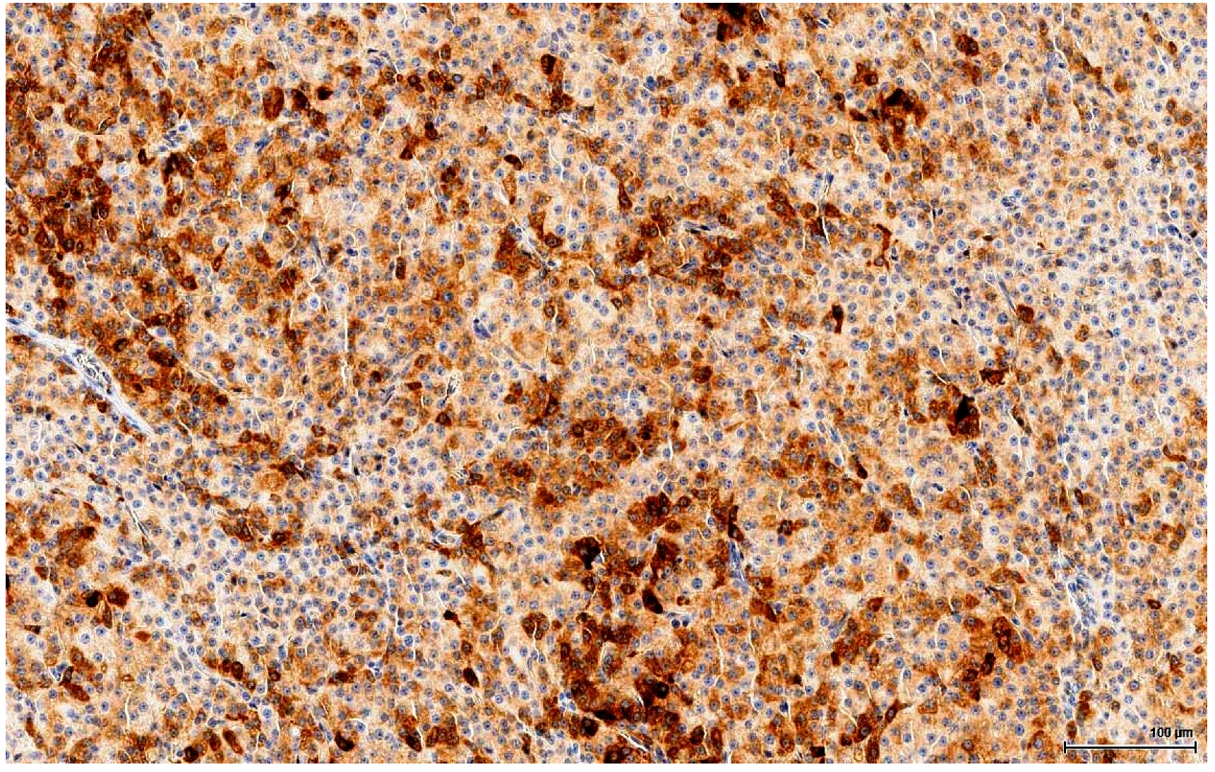 Toxins 11 00480 g008