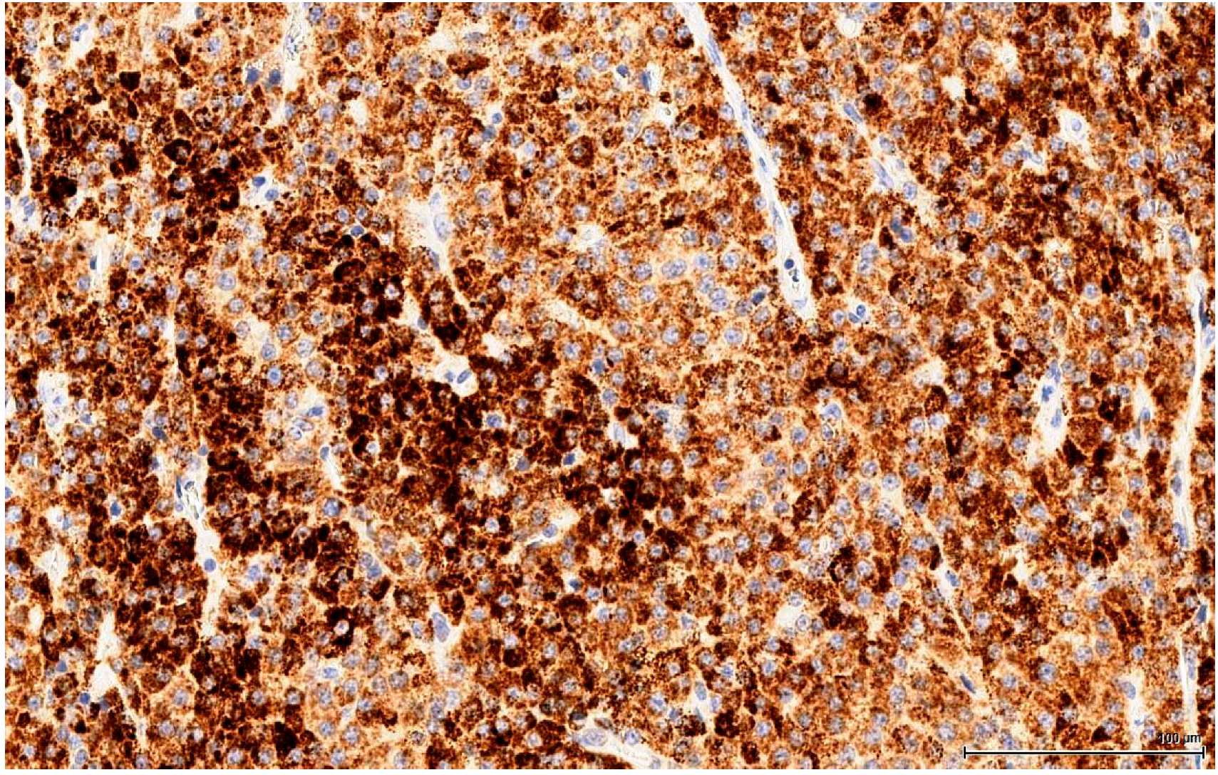 Toxins 11 00480 g009