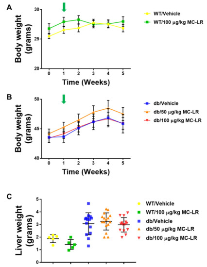 Toxins Free Full Text Chronic Low Dose Oral Exposure To Microcystin Lr Exacerbates Hepatic Injury In A Murine Model Of Non Alcoholic Fatty Liver Disease Html Toxins Free Full Text Chronic Low Dose Oral Exposure To Microcystin Lr Exacerbates Hepatic Injury In A Murine Model Of Non Alcoholic Fatty Liver Disease Html