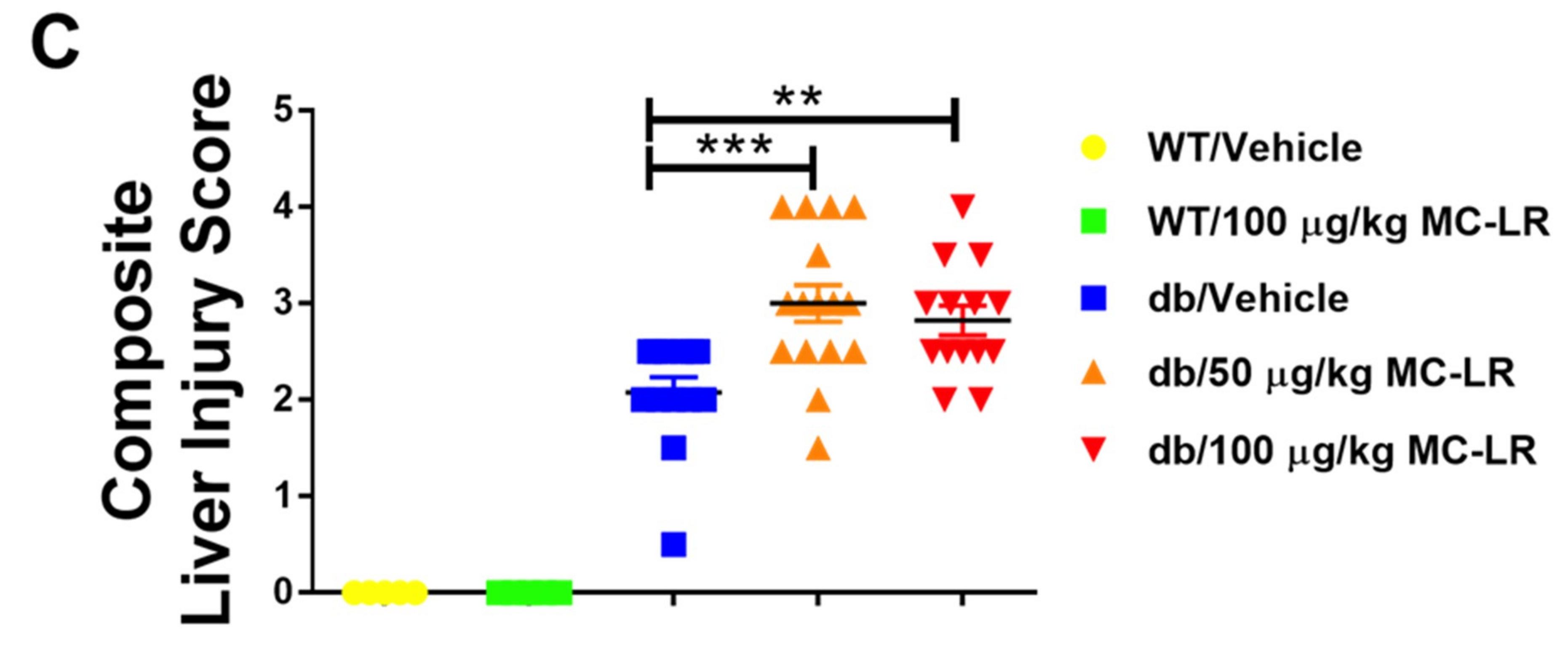 Toxins Free Full Text Chronic Low Dose Oral Exposure To Microcystin Lr Exacerbates Hepatic Injury In A Murine Model Of Non Alcoholic Fatty Liver Disease Html Toxins Free Full Text Chronic Low Dose Oral Exposure To Microcystin Lr Exacerbates Hepatic Injury In A Murine Model Of Non Alcoholic Fatty Liver Disease Html