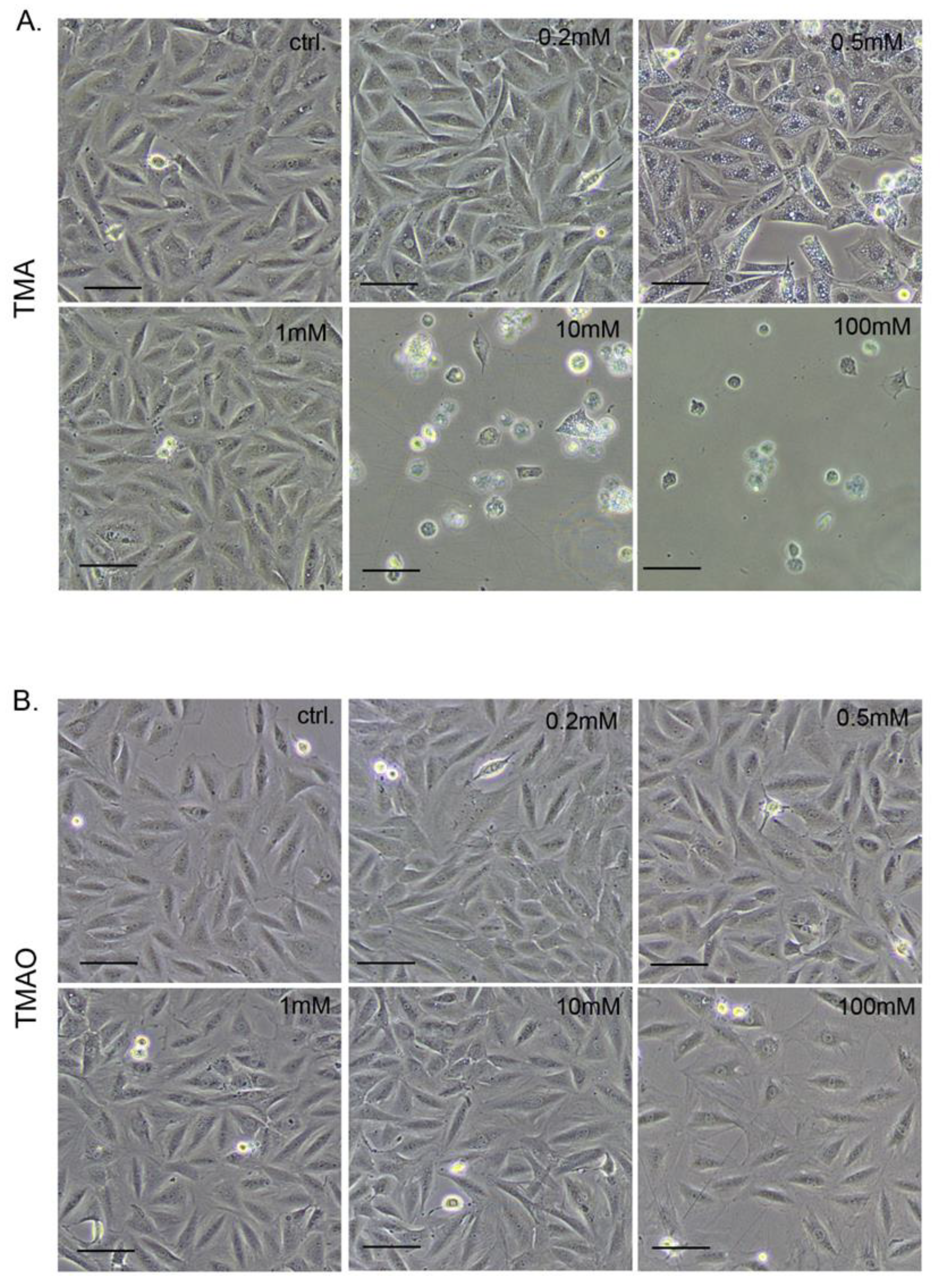 Toxins 11 00490 g003