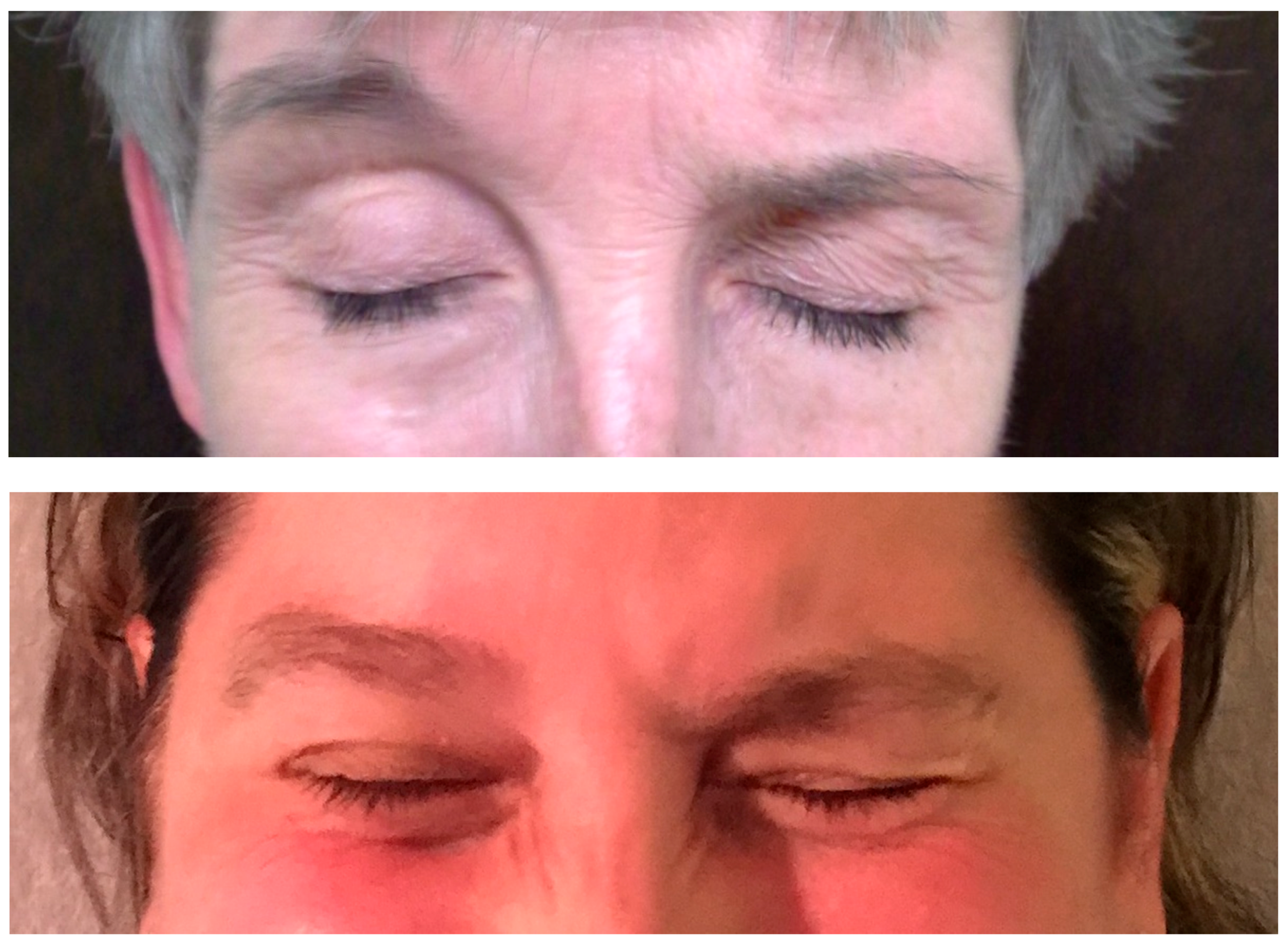 Toxins 11 00491 g001 Toxins 11 00491 g001