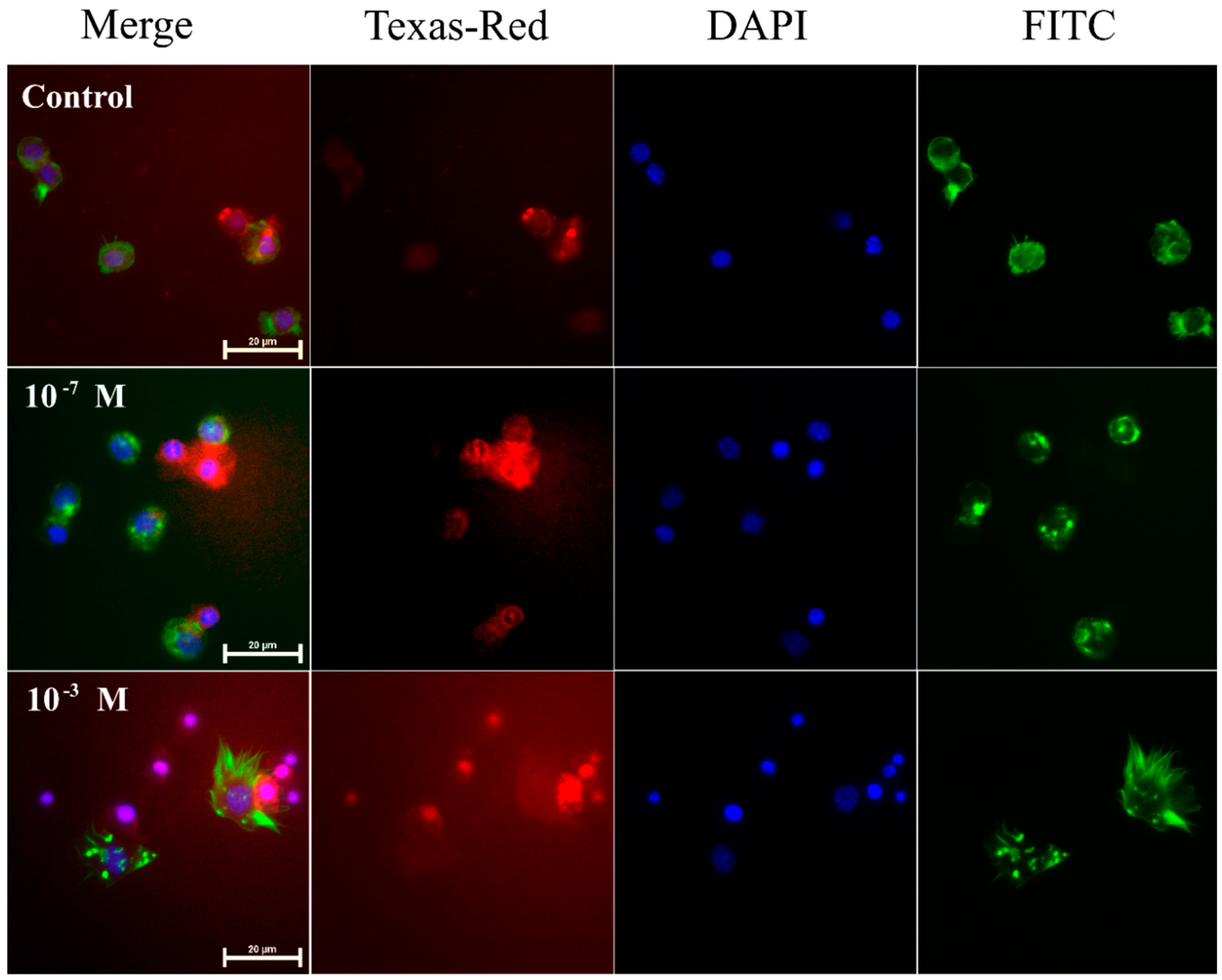 Toxins 11 00494 g001