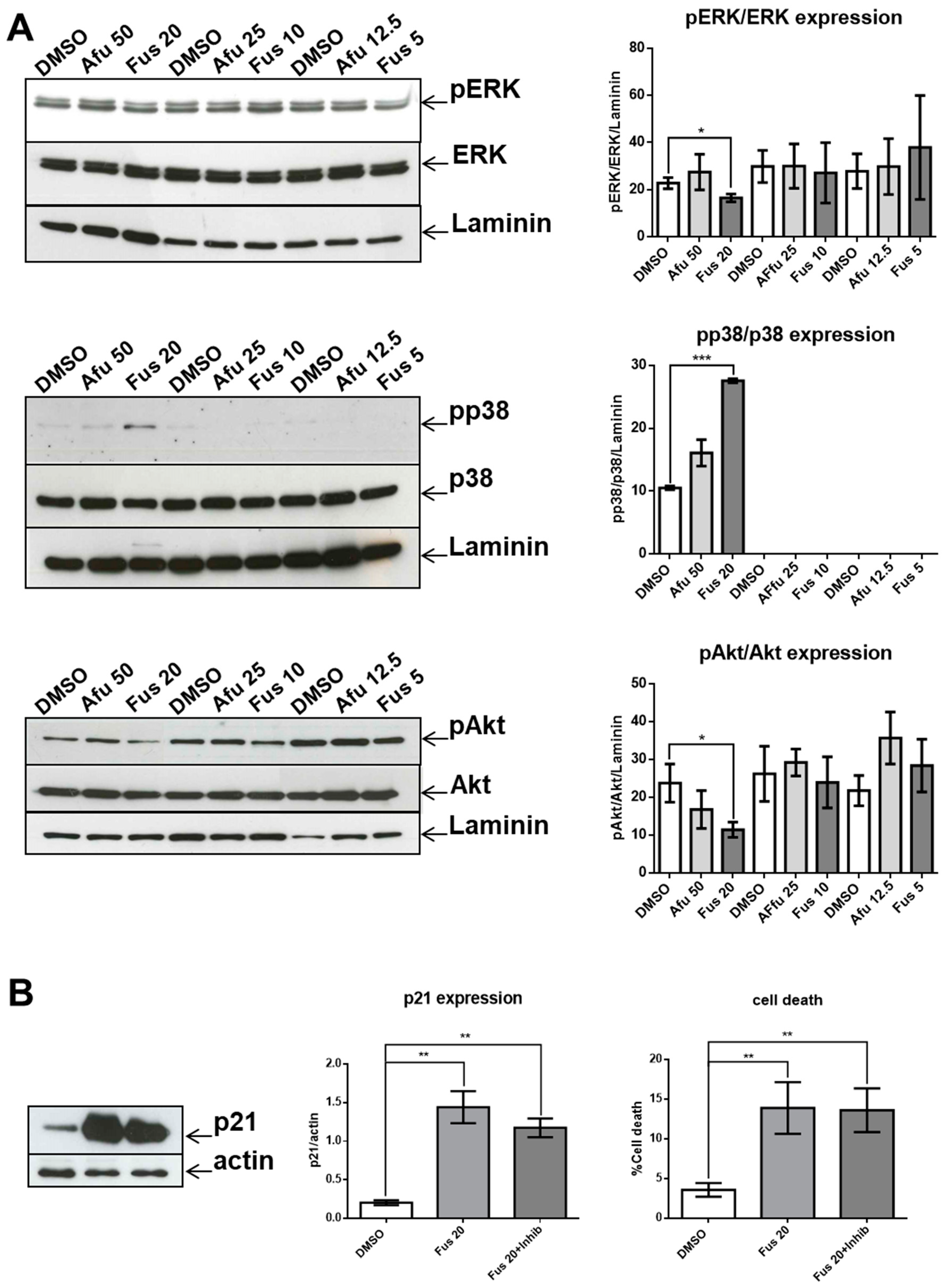 Toxins 11 00503 g005