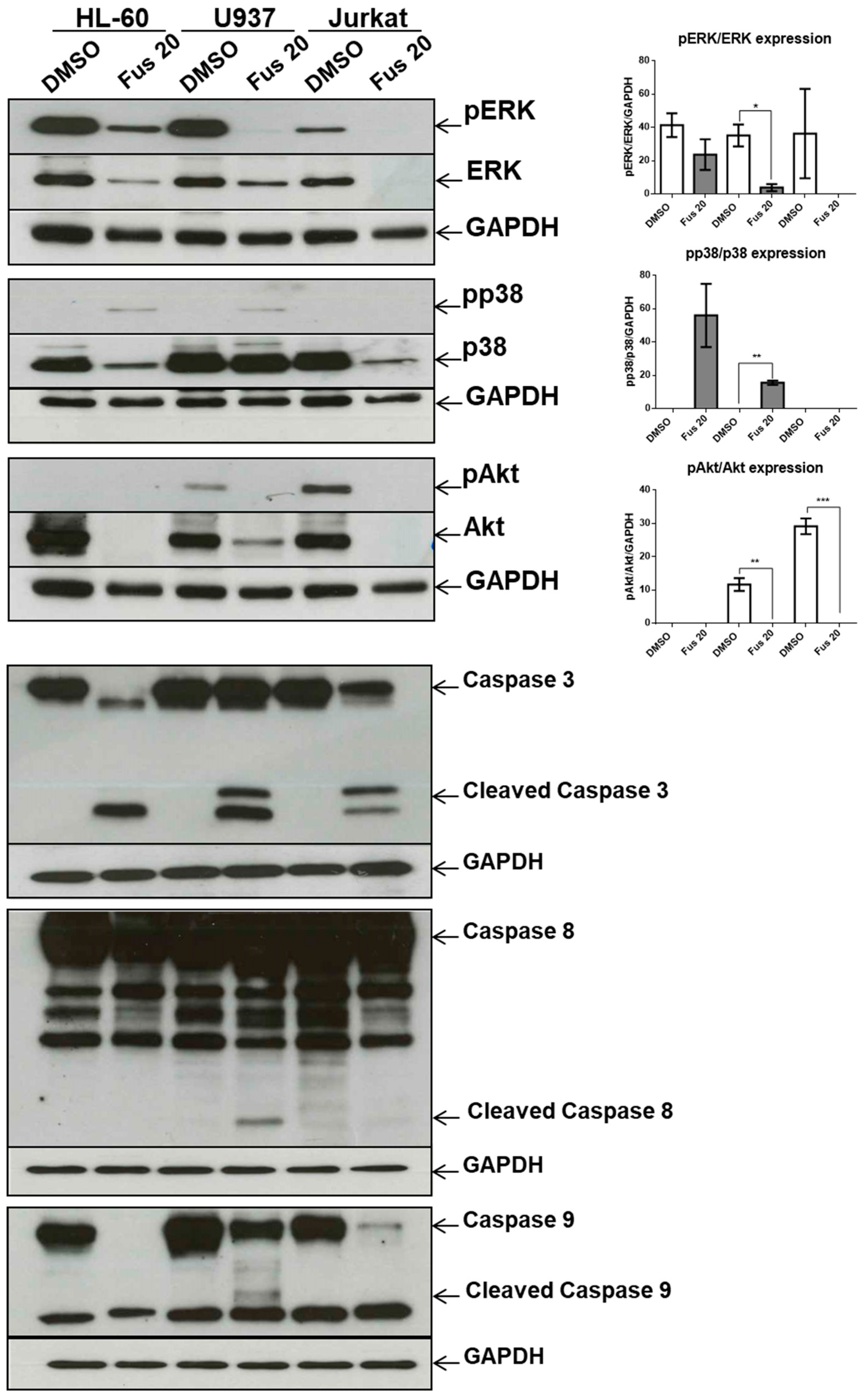 Toxins 11 00503 g007