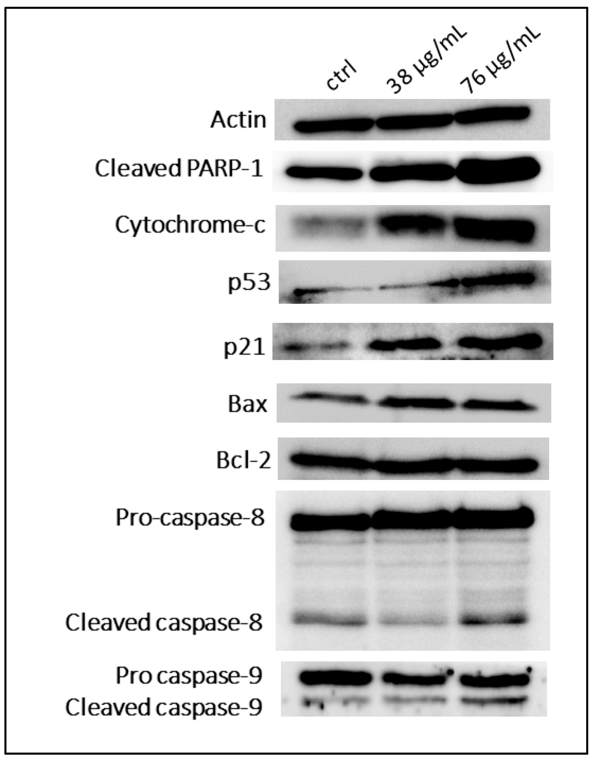 Toxins 11 00506 g008