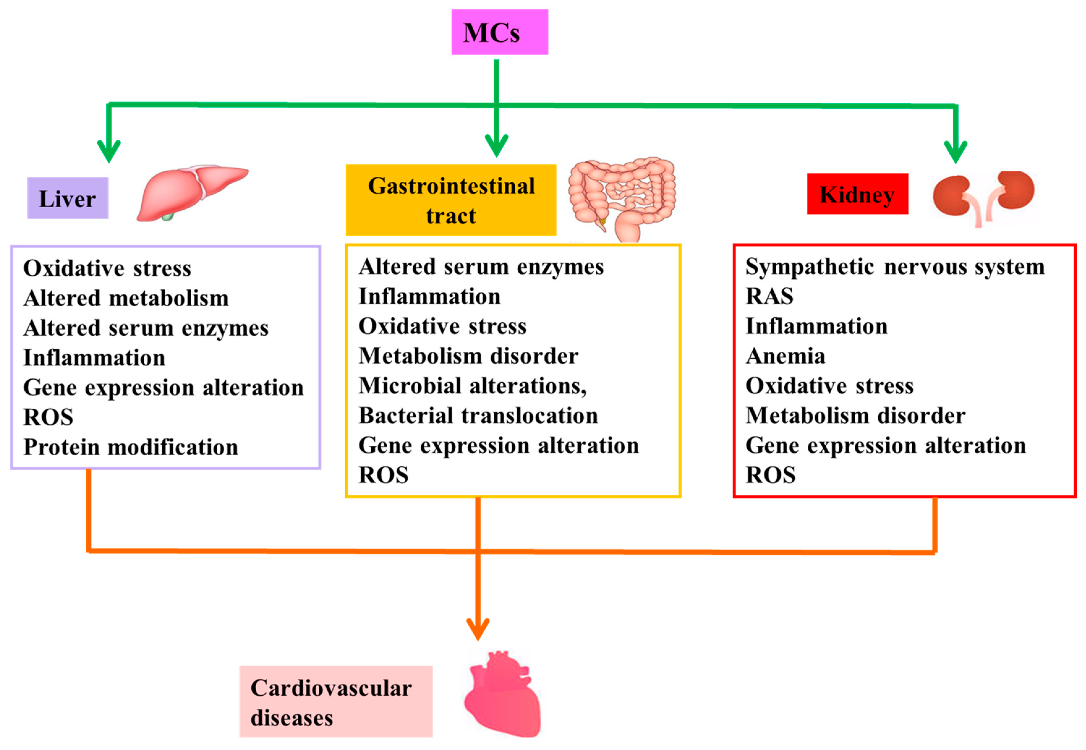 Toxins 11 00507 g002
