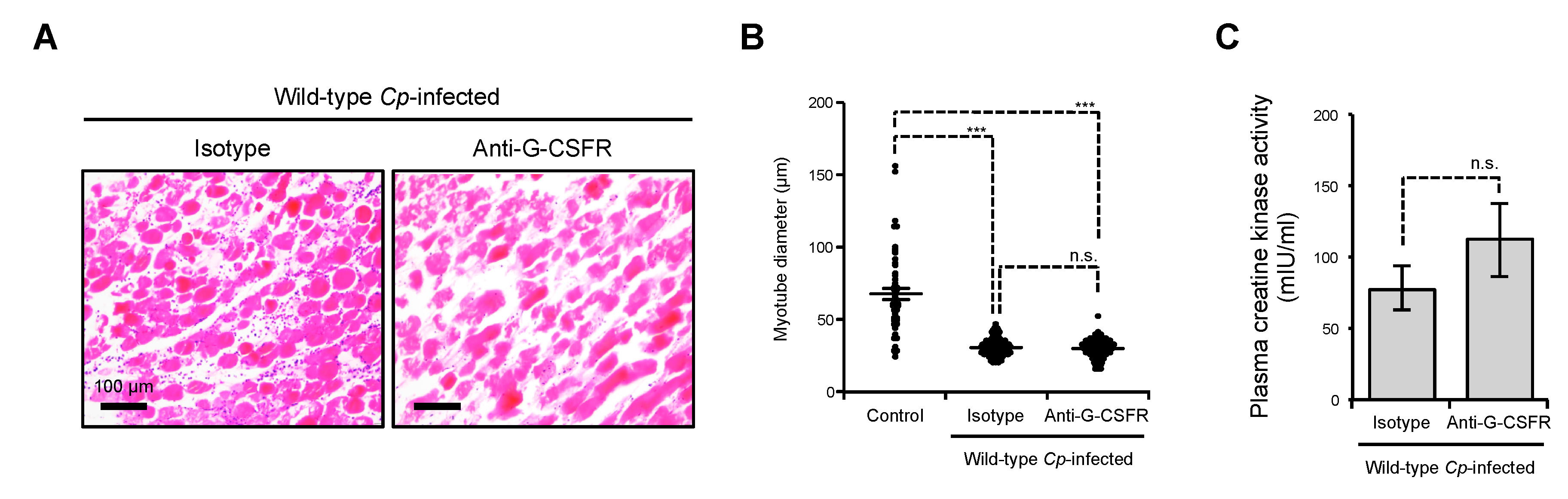 Toxins 11 00509 g002 Toxins 11 00509 g002