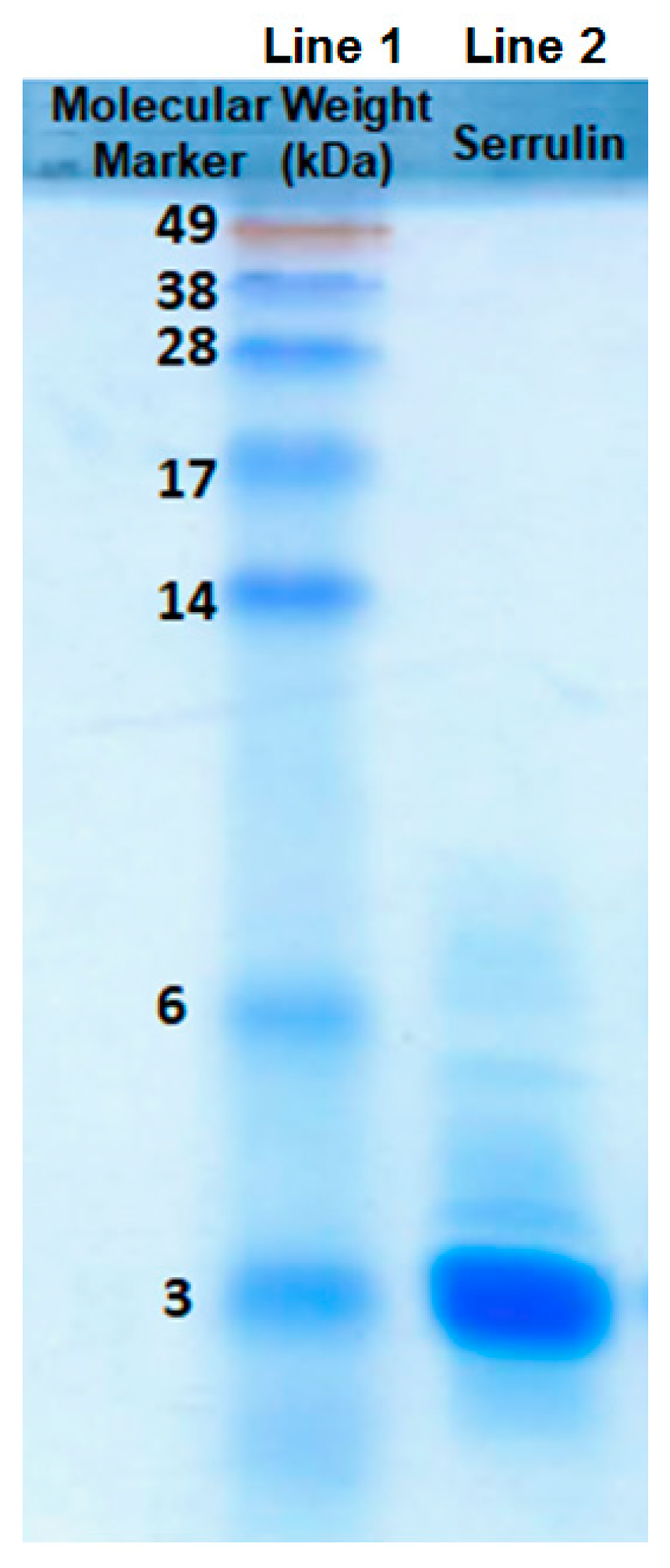 Toxins Free Full Text Serrulin A Glycine Rich Bioactive Peptide From The Hemolymph Of The Yellow Tityus Serrulatus Scorpion Html