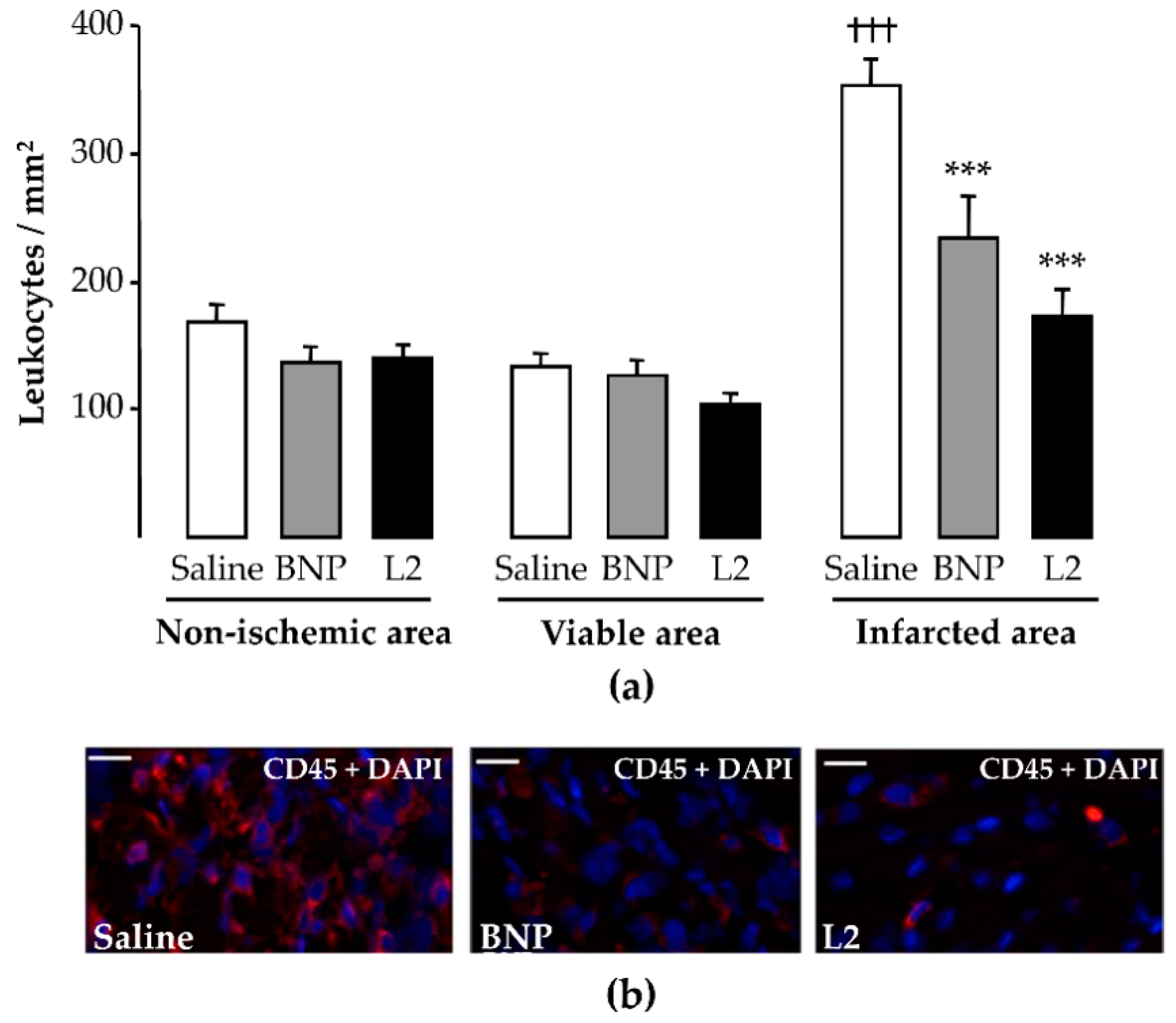 Toxins 11 00524 g004