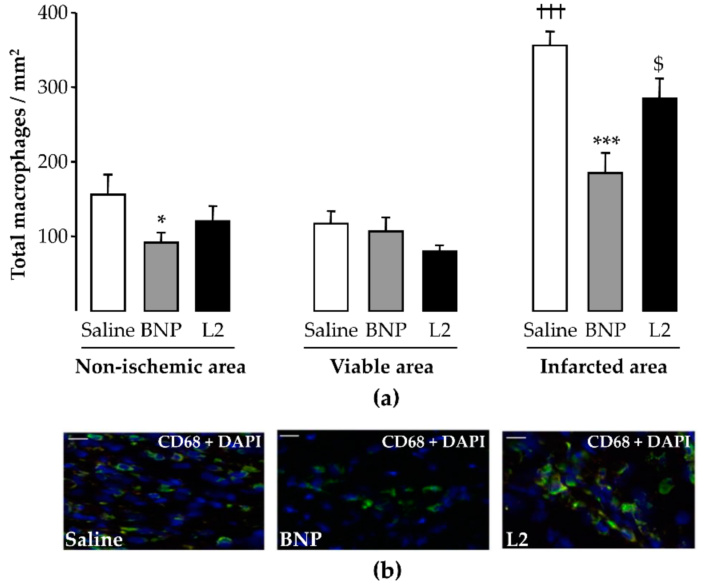 Toxins 11 00524 g005