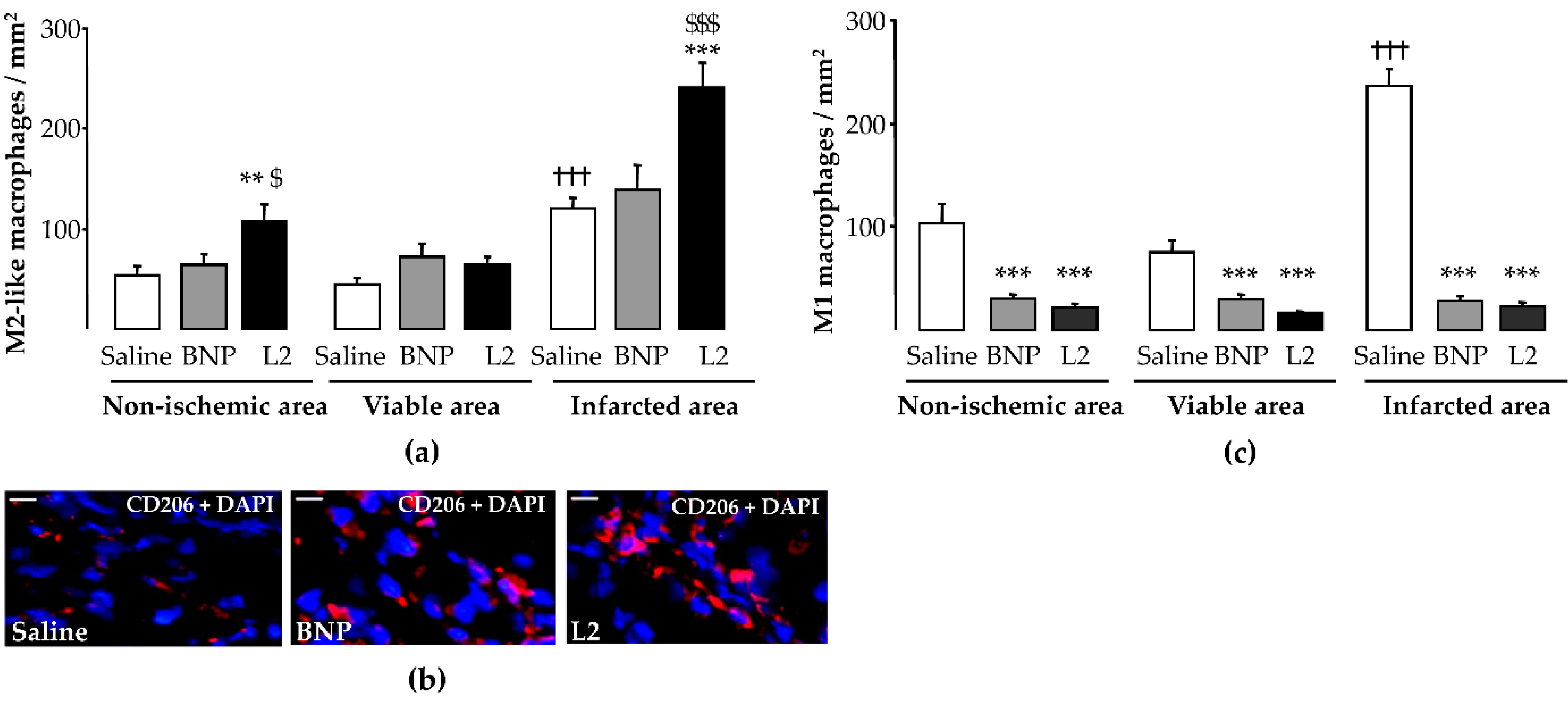 Toxins 11 00524 g006