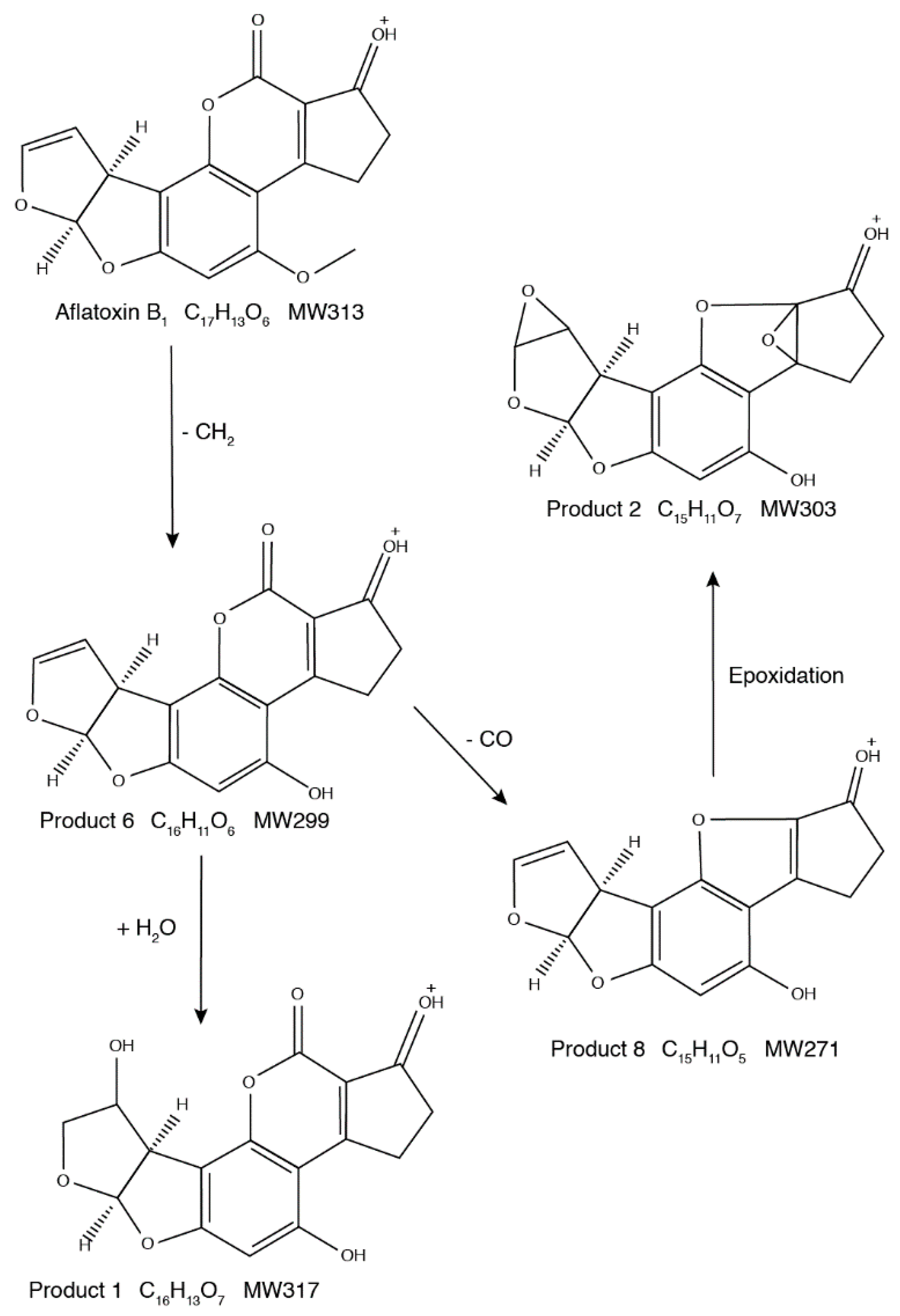 Toxins 11 00526 g005