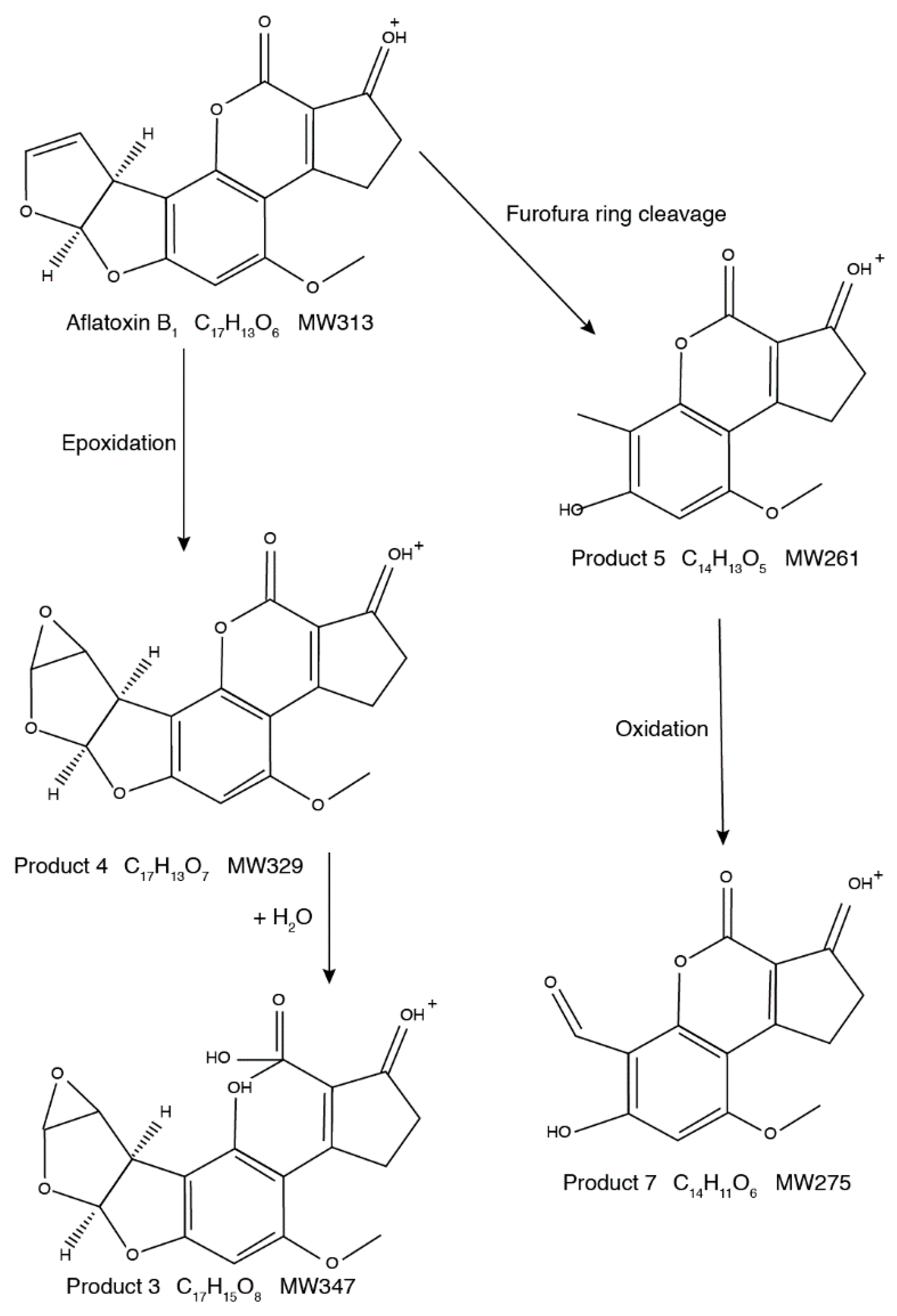 Toxins 11 00526 g006
