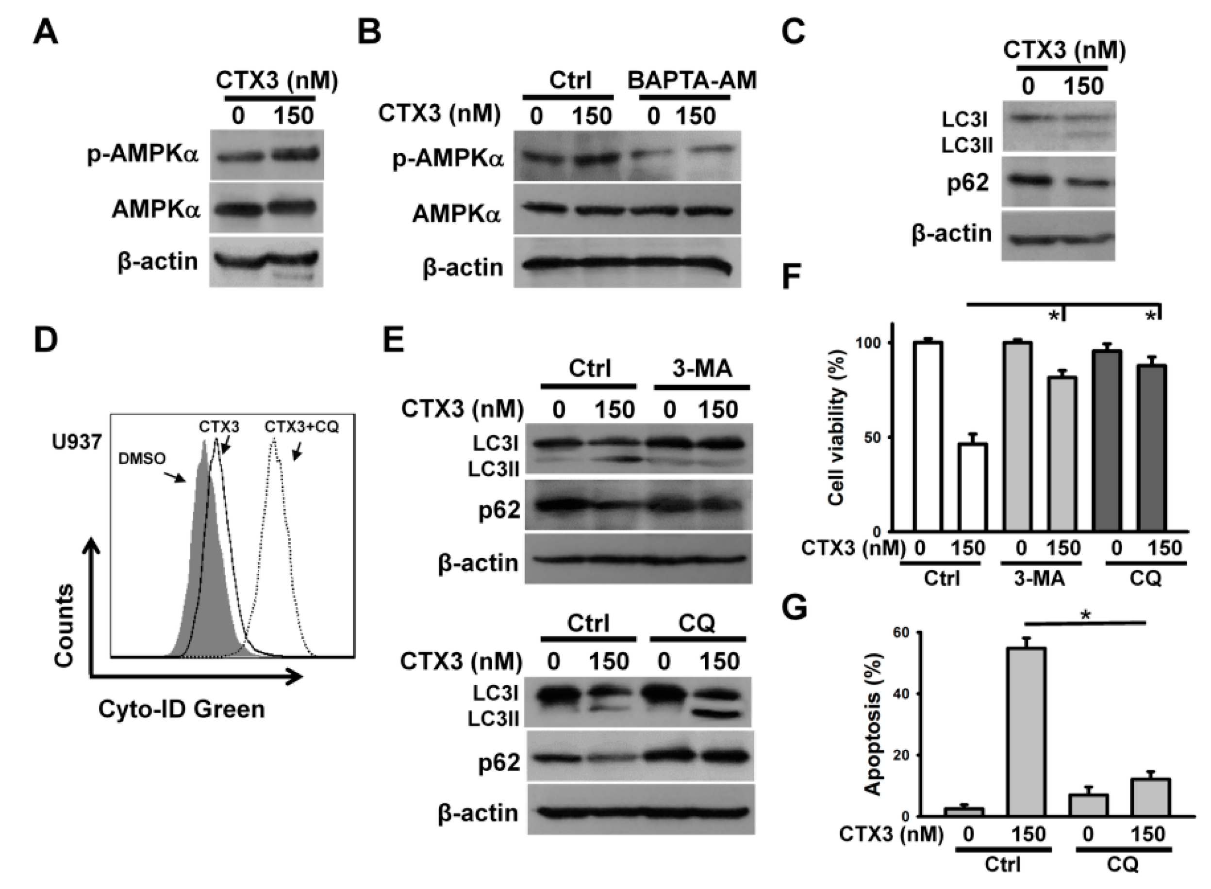 Toxins 11 00527 g003