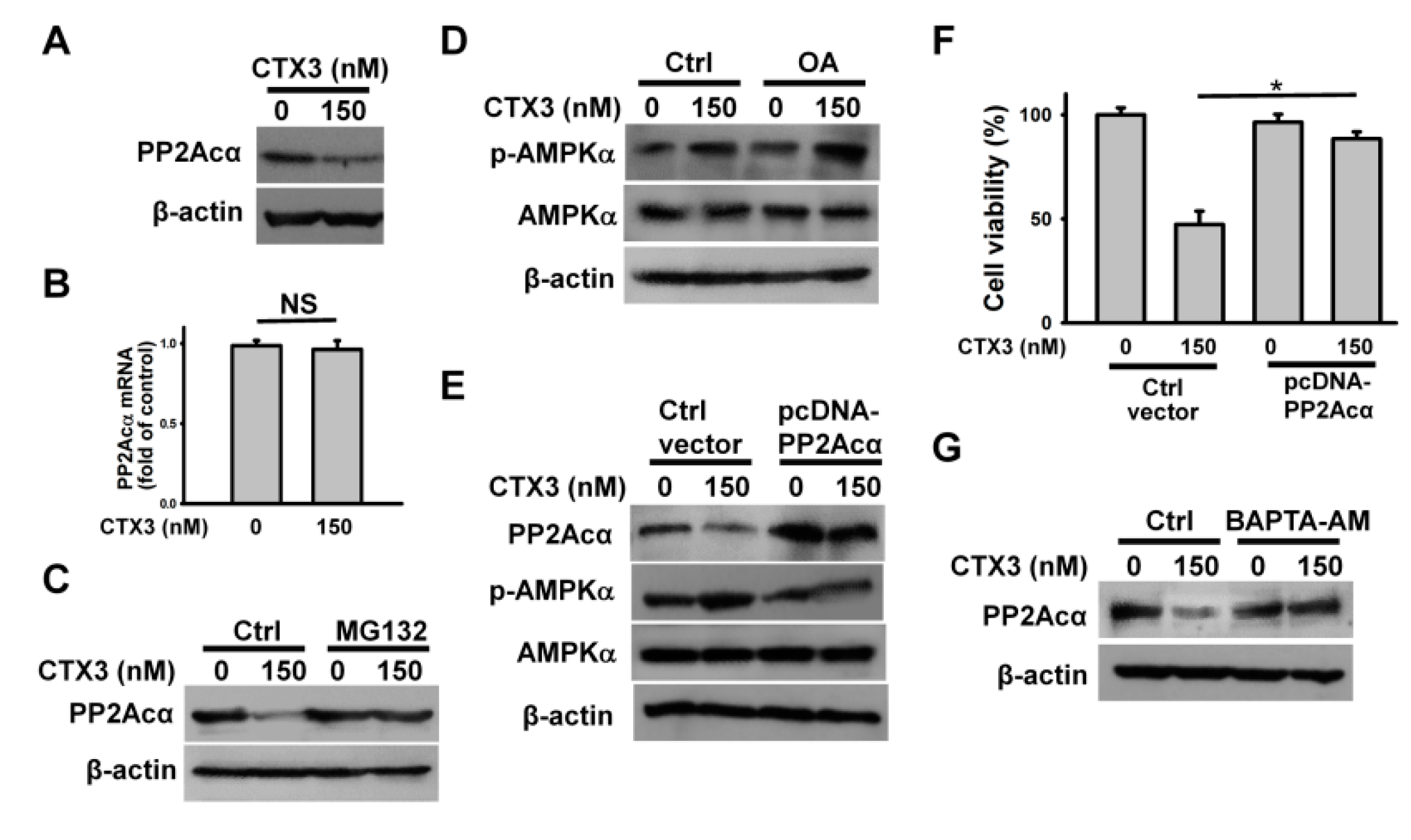 Toxins 11 00527 g005