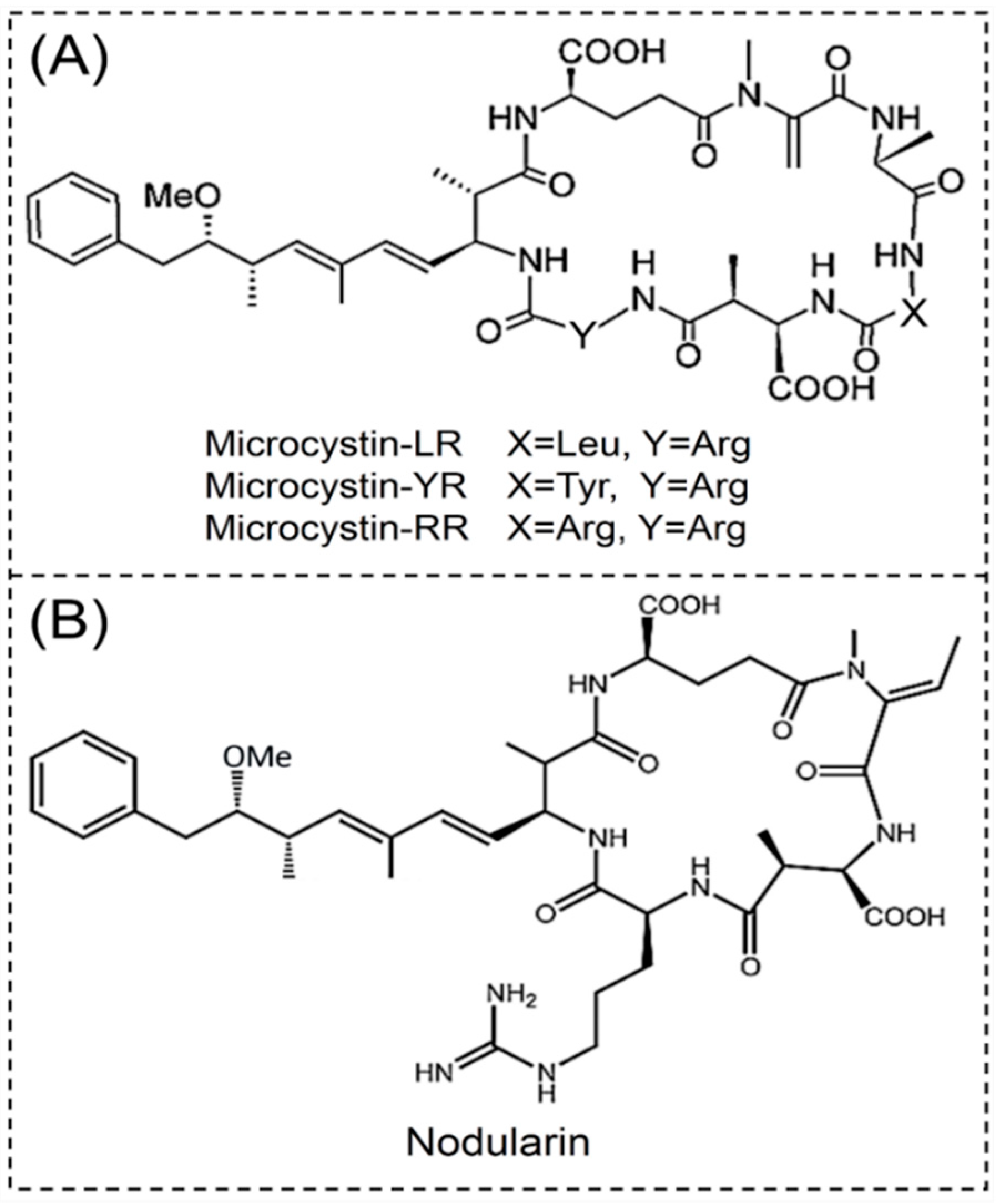 Toxins | Free Full-Text | The Diversity of Cyanobacterial Toxins Toxins | Free Full-Text | The Diversity of Cyanobacterial Toxins