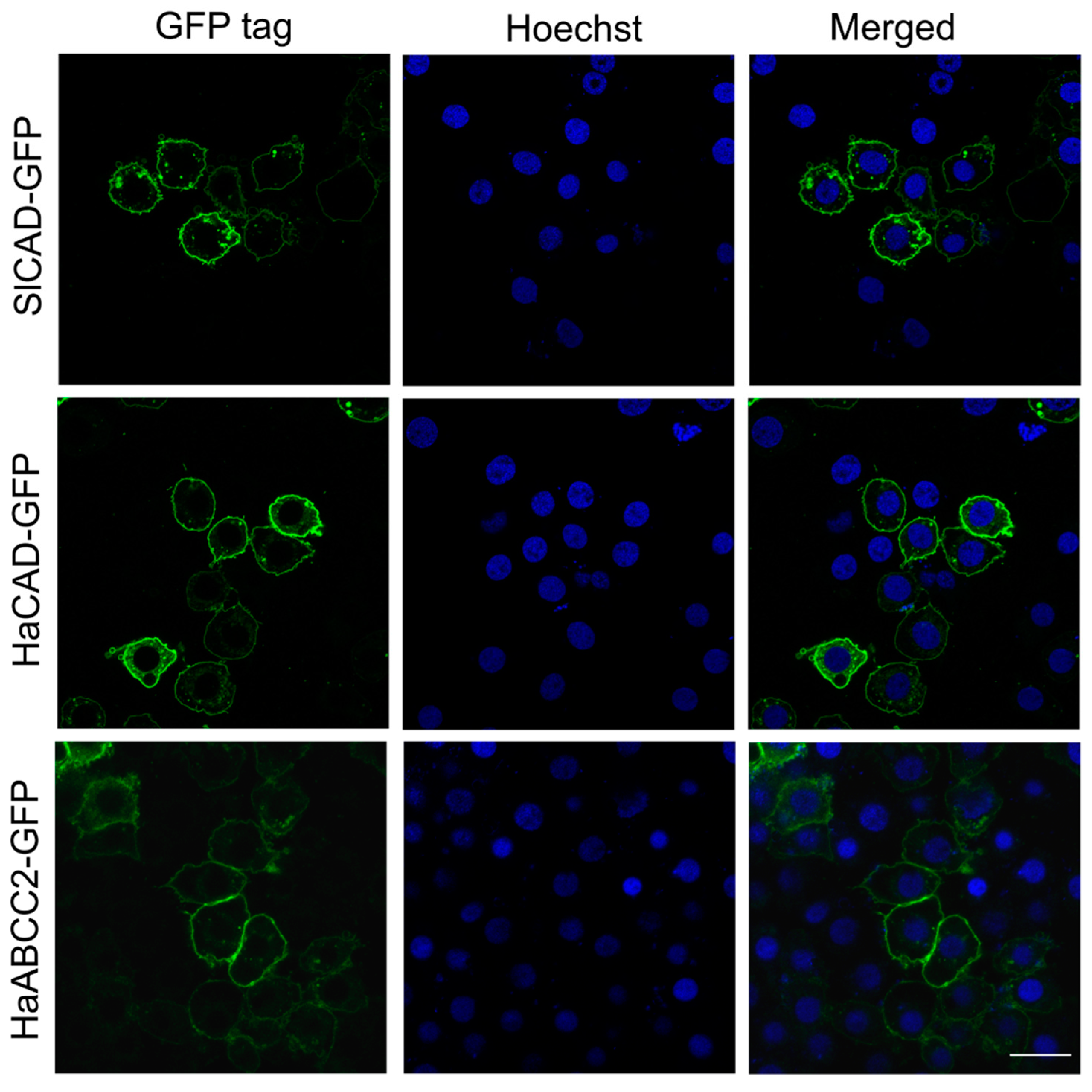 Toxins 11 00538 g001 550