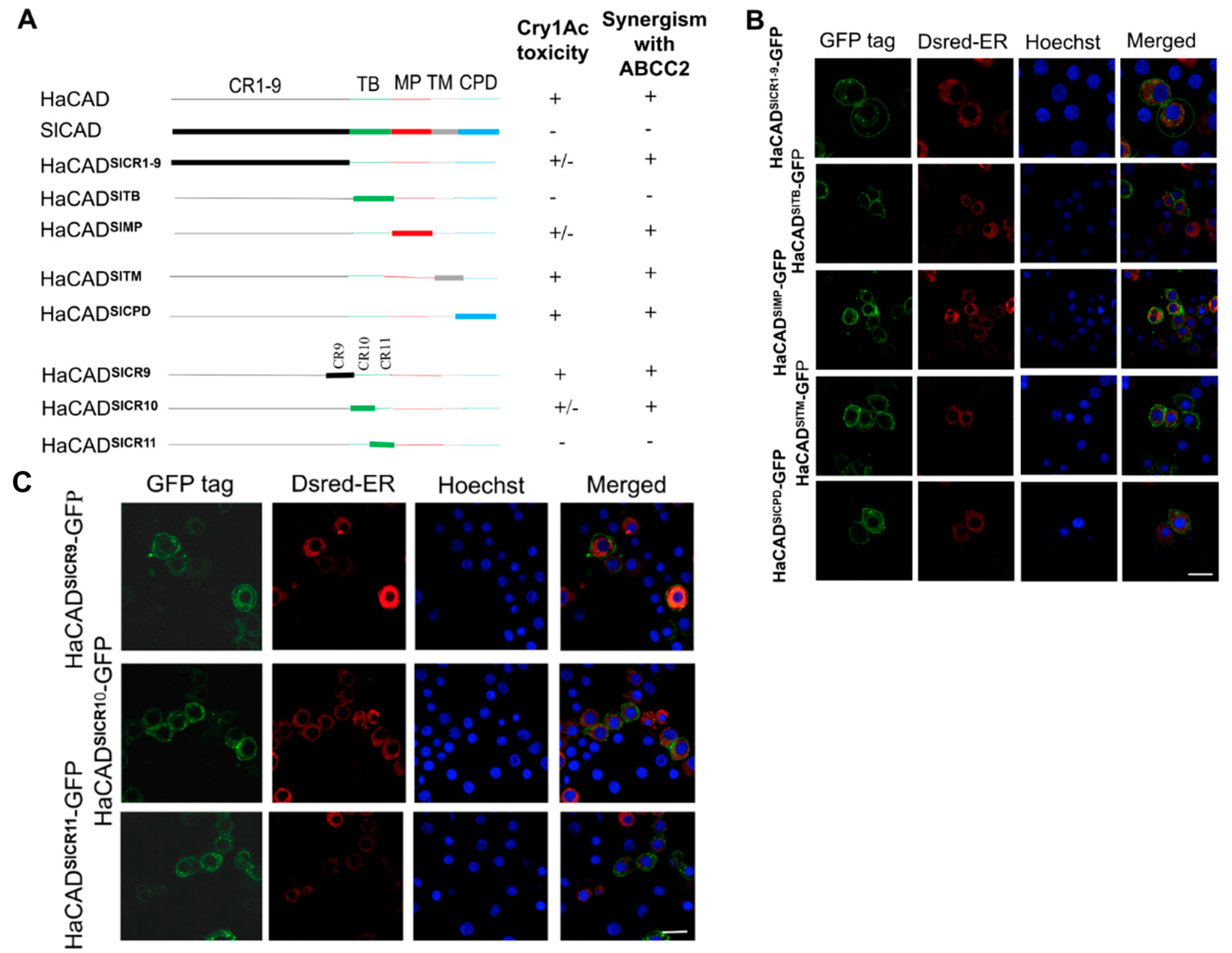 Toxins 11 00538 g002 550