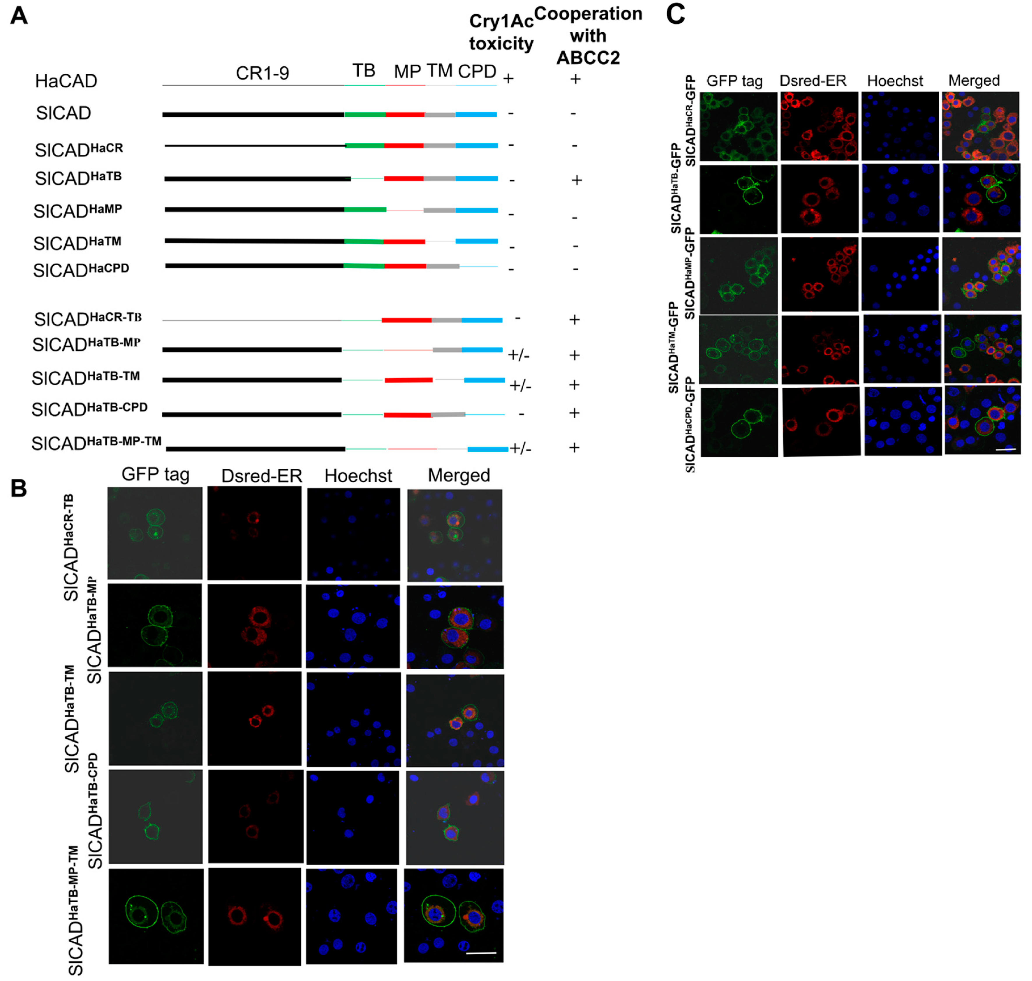 Toxins 11 00538 g003 550