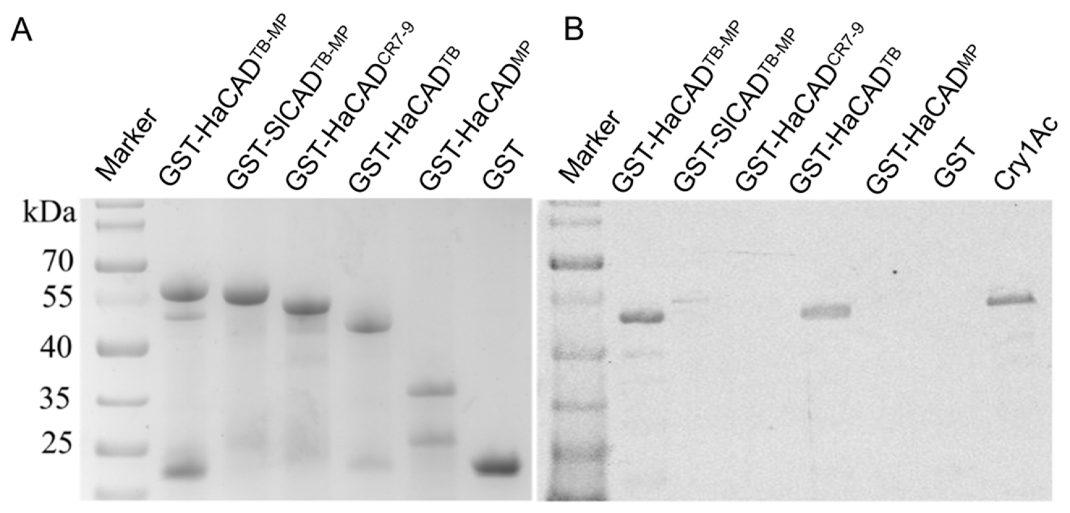 Toxins 11 00538 g005 550