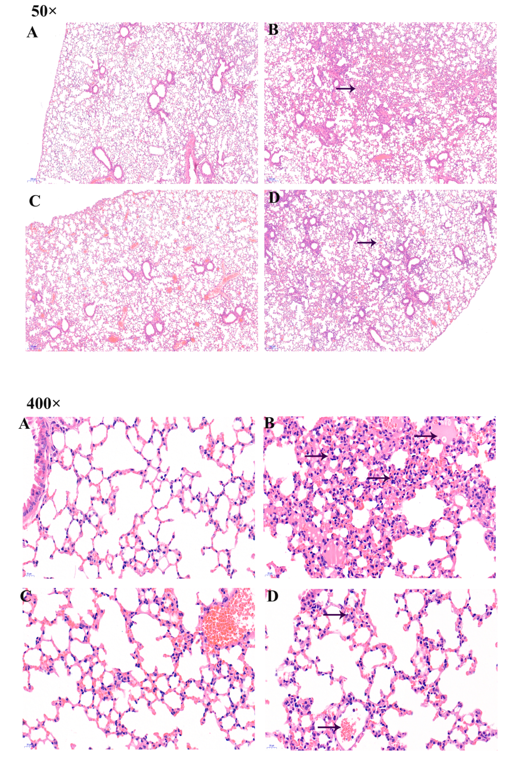 Toxins 11 00540 g002a