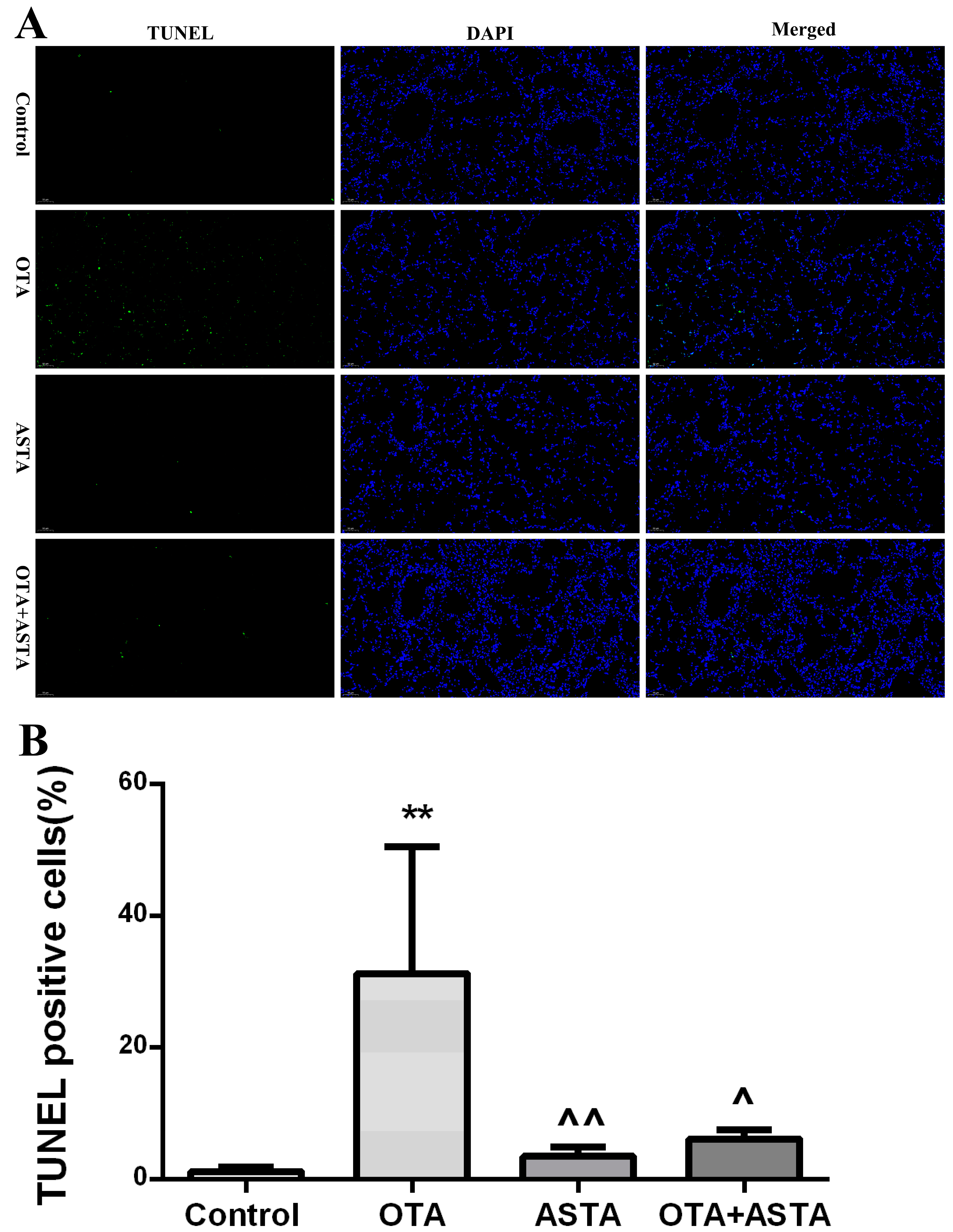 Toxins 11 00540 g003