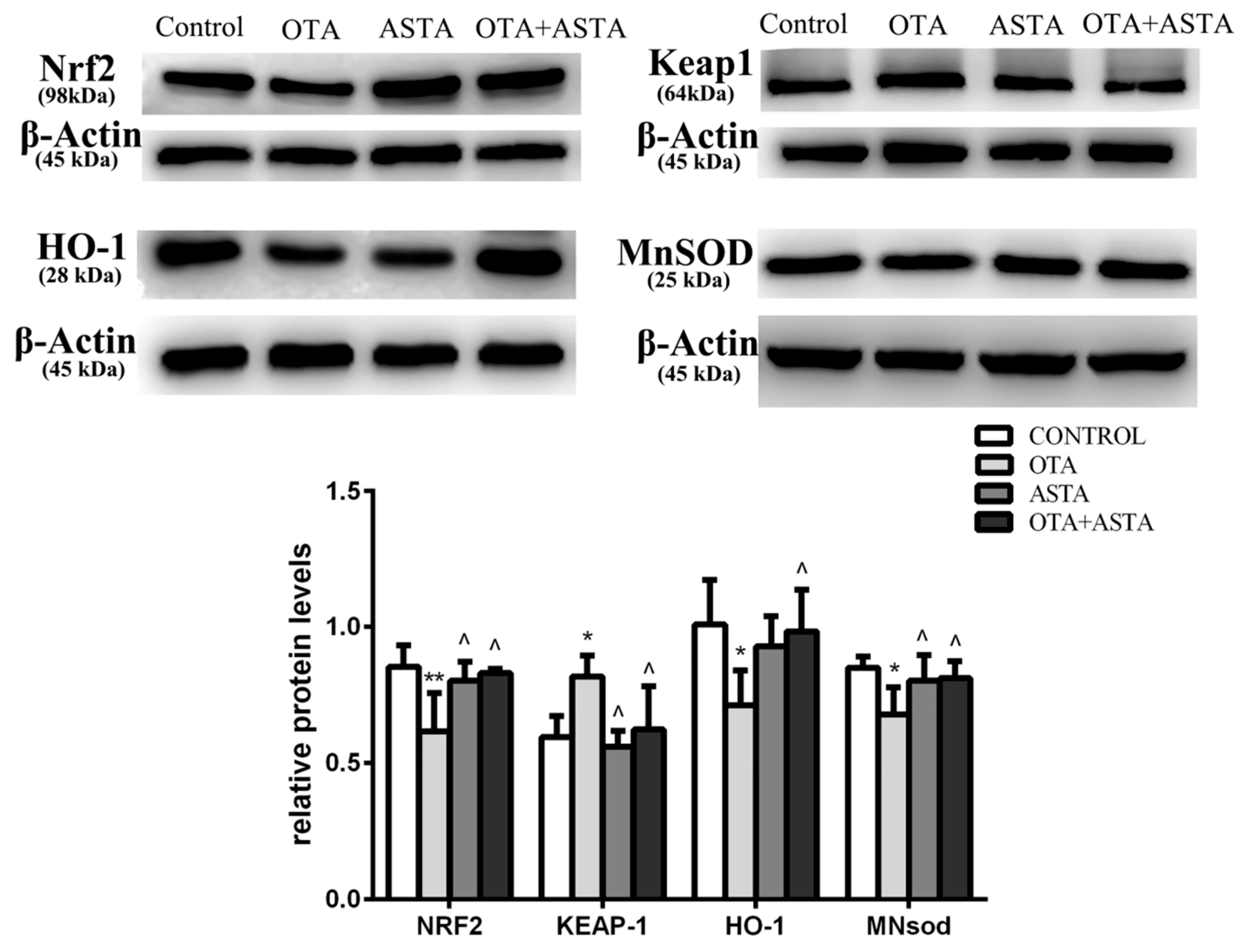 Toxins 11 00540 g006