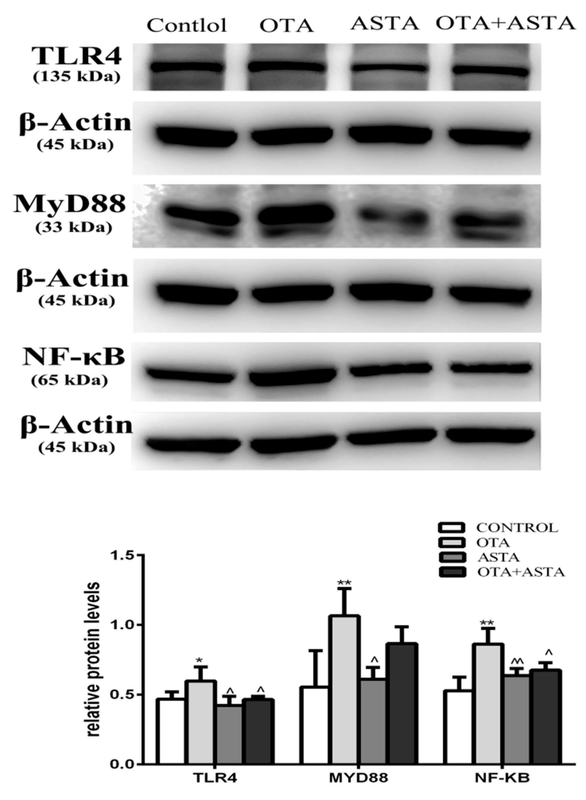 Toxins 11 00540 g007
