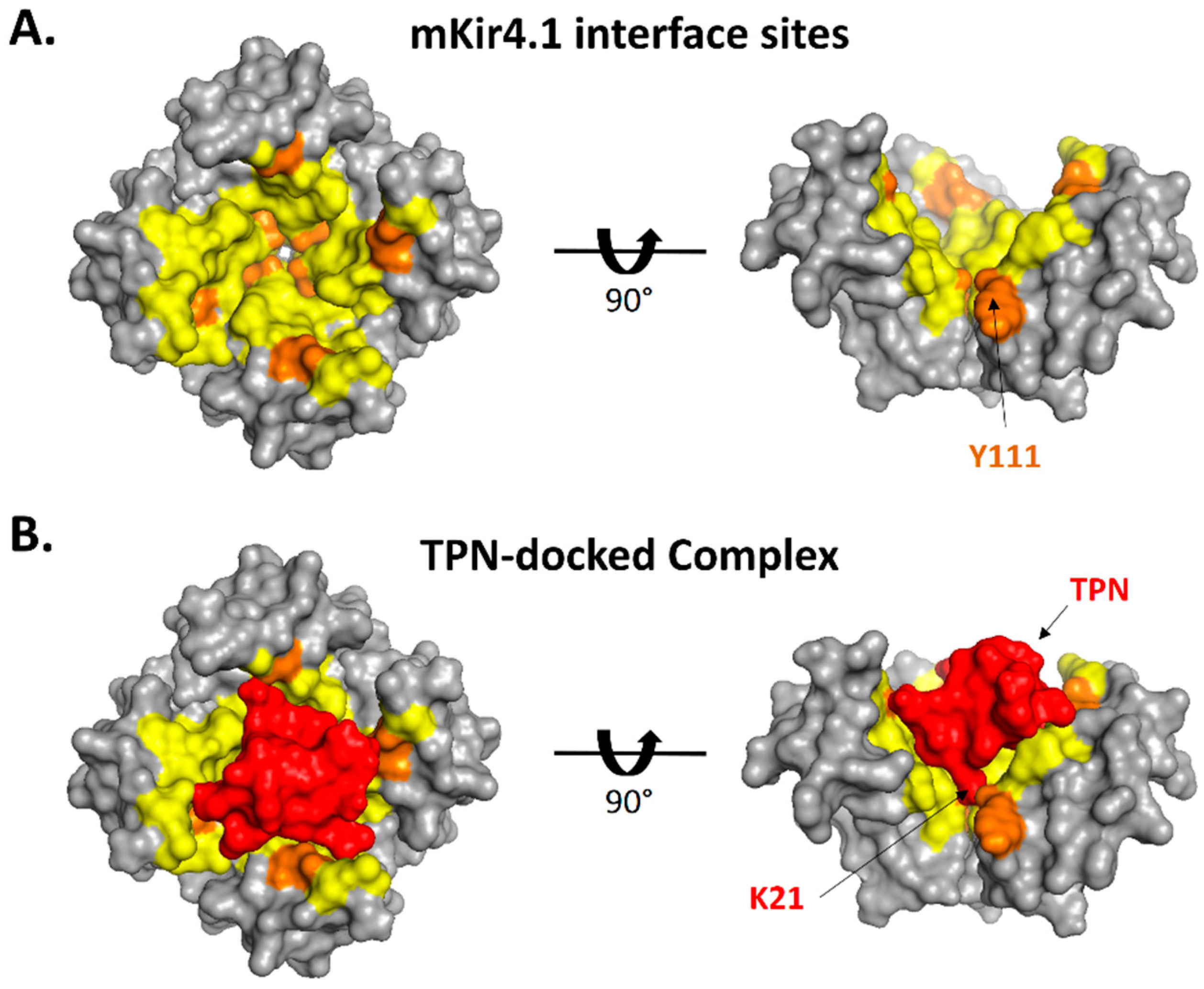 Toxins 11 00546 g006 Toxins 11 00546 g006