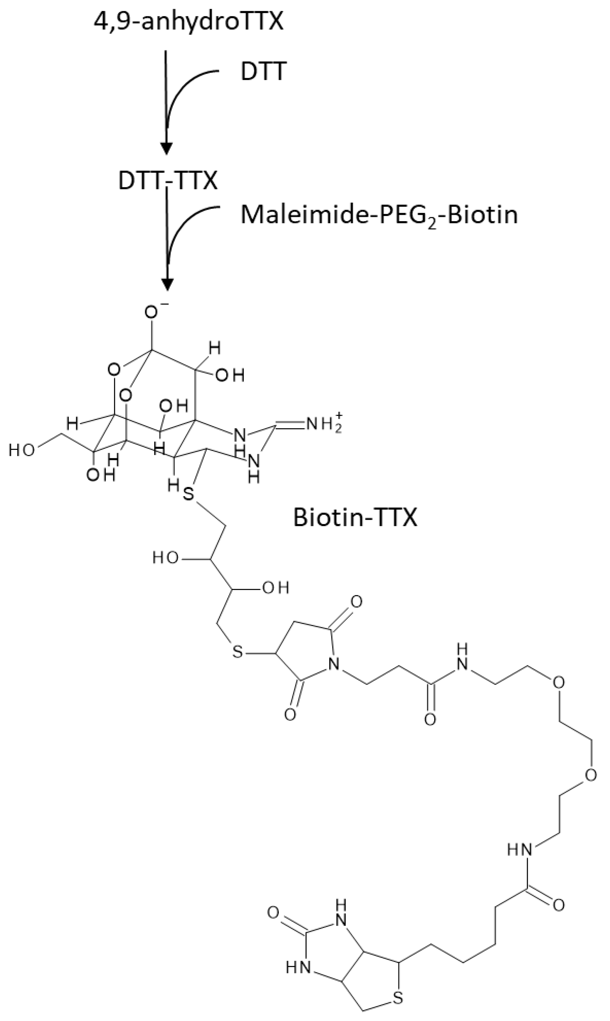 Toxins 11 00551 g004 Toxins 11 00551 g004