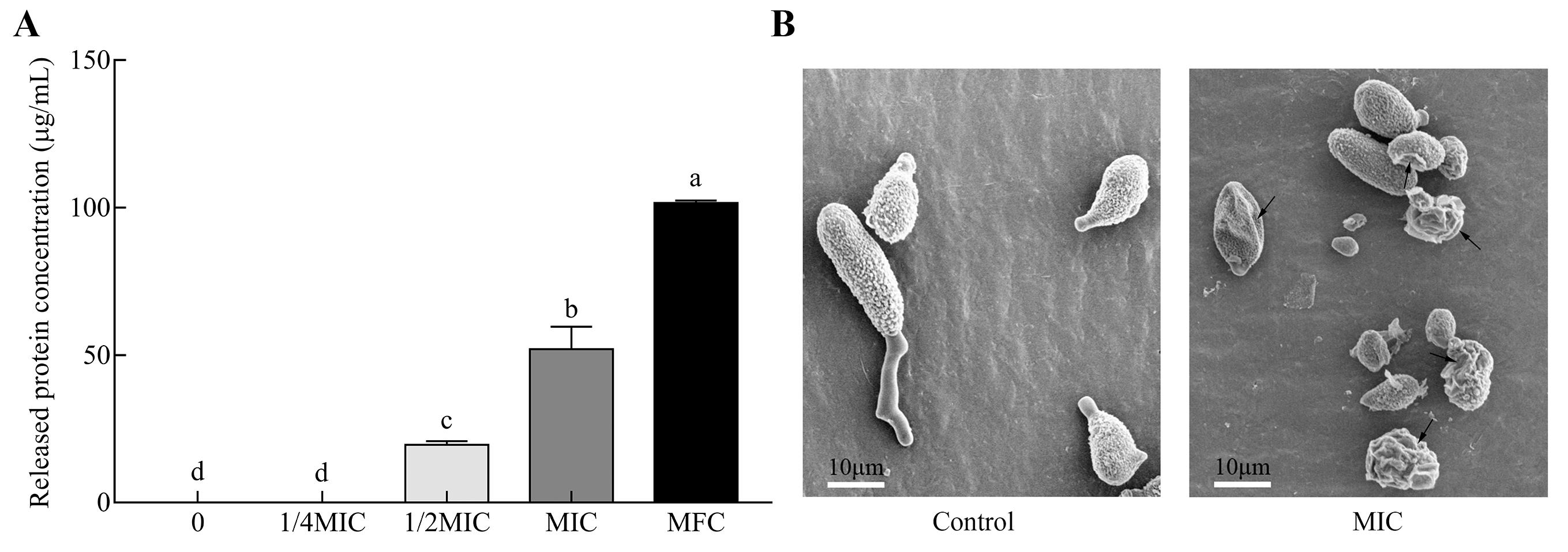Toxins 11 00553 g005 Toxins 11 00553 g005