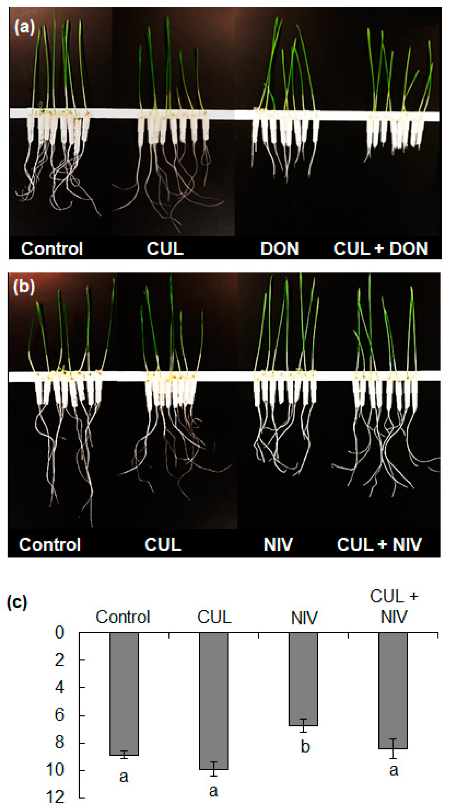 Toxins 11 00555 g006
