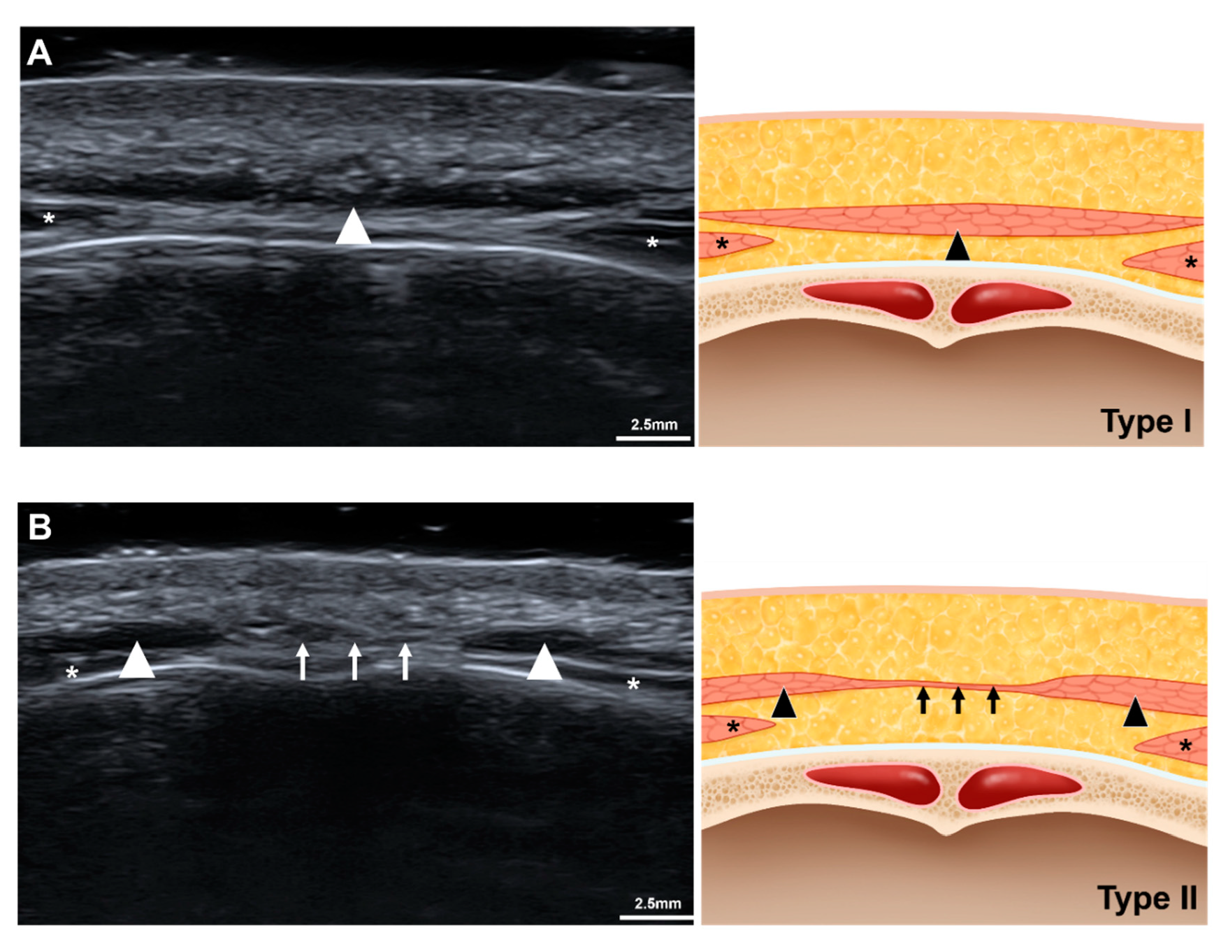 Toxins 11 00560 g002